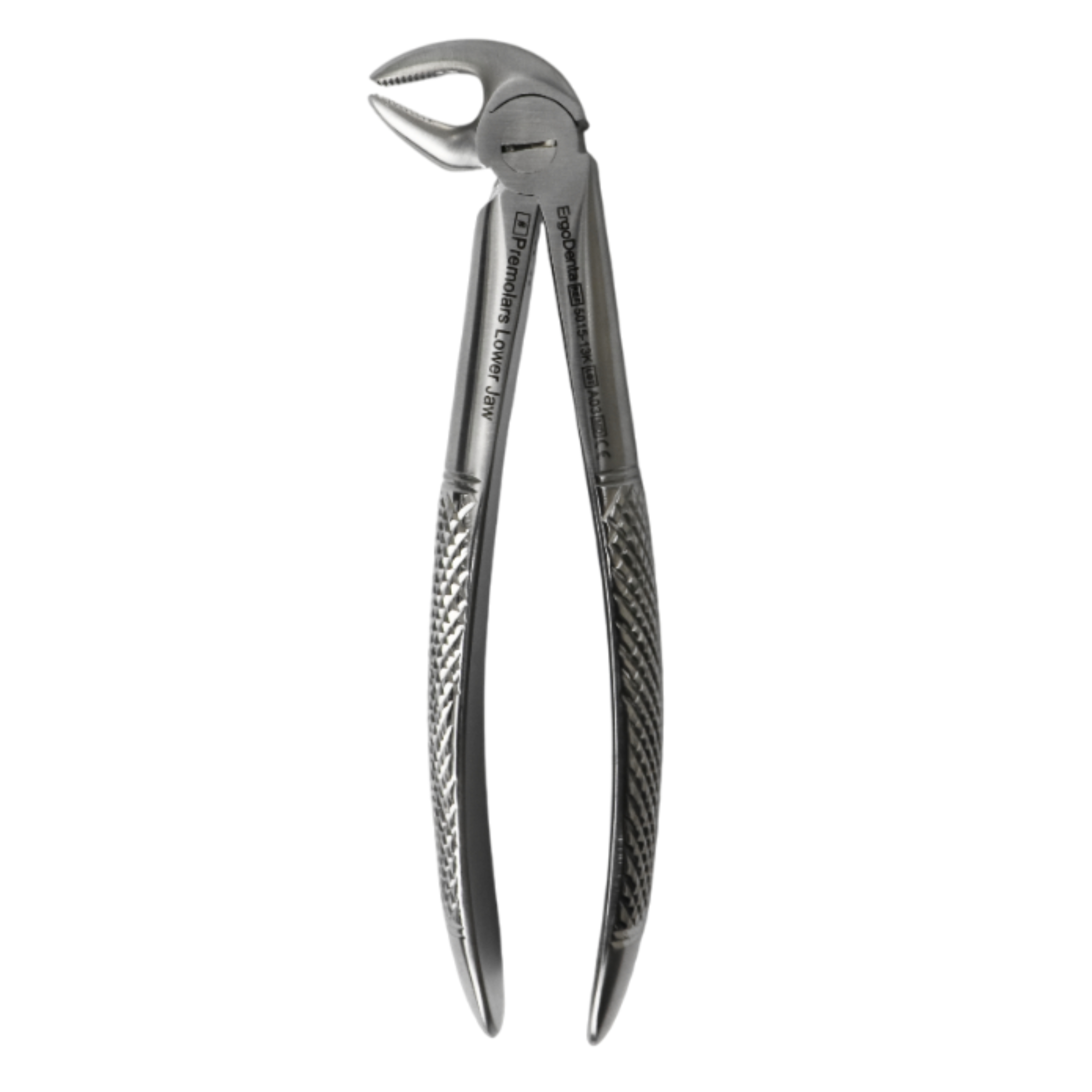 Fig. 13K Premolars, Lower Jaw
