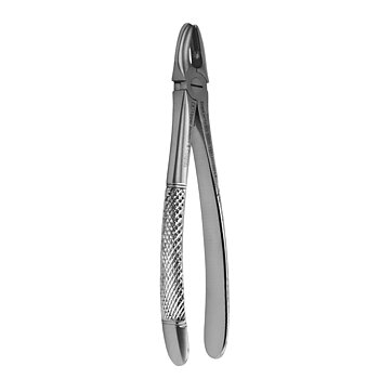 Fig. 1. Upper Incisors And Molars