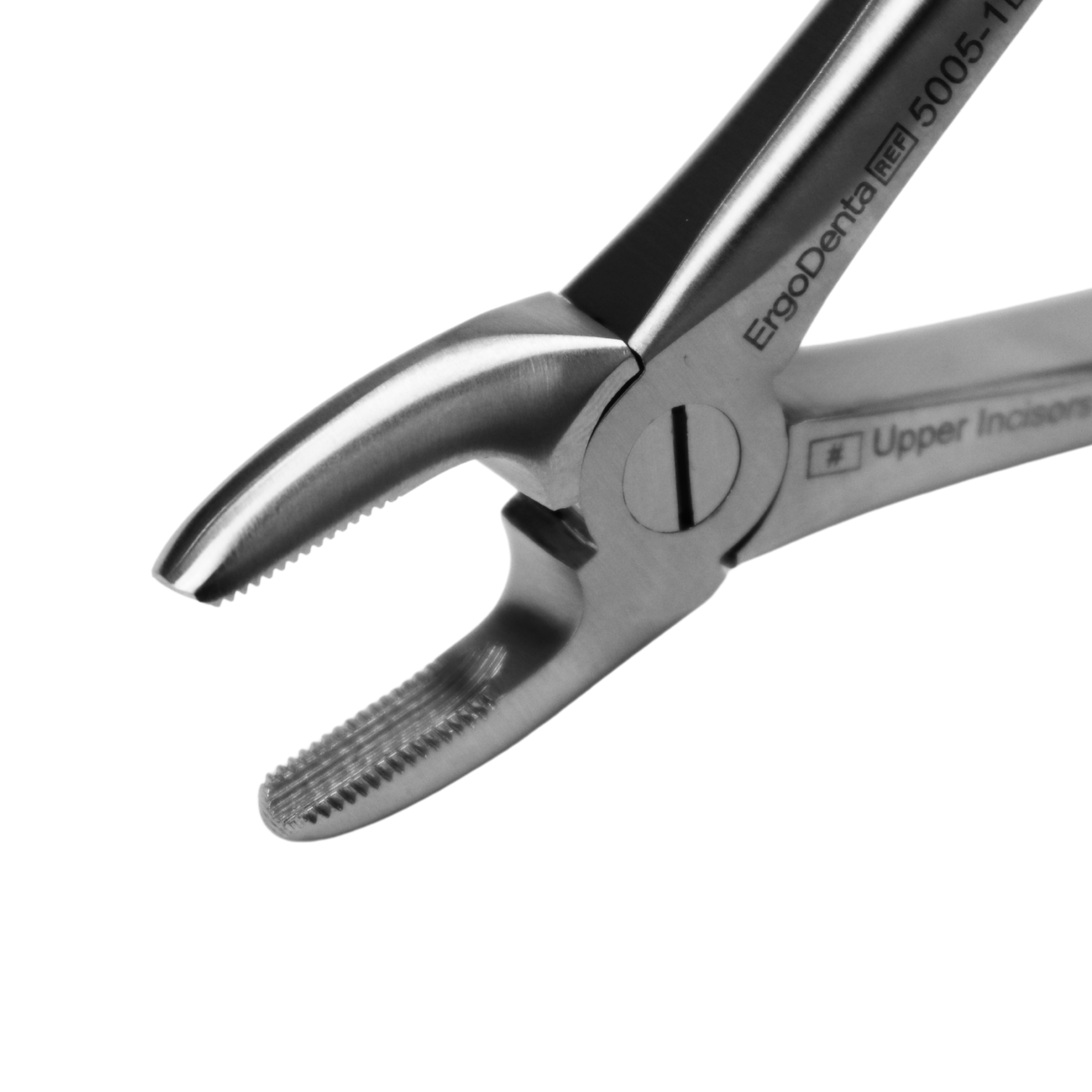 Fig. 1. Upper Incisors And Molars - 3