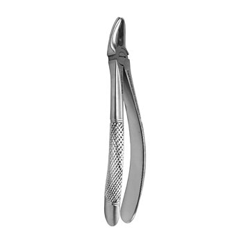 Fig. 7. Upper Premolars