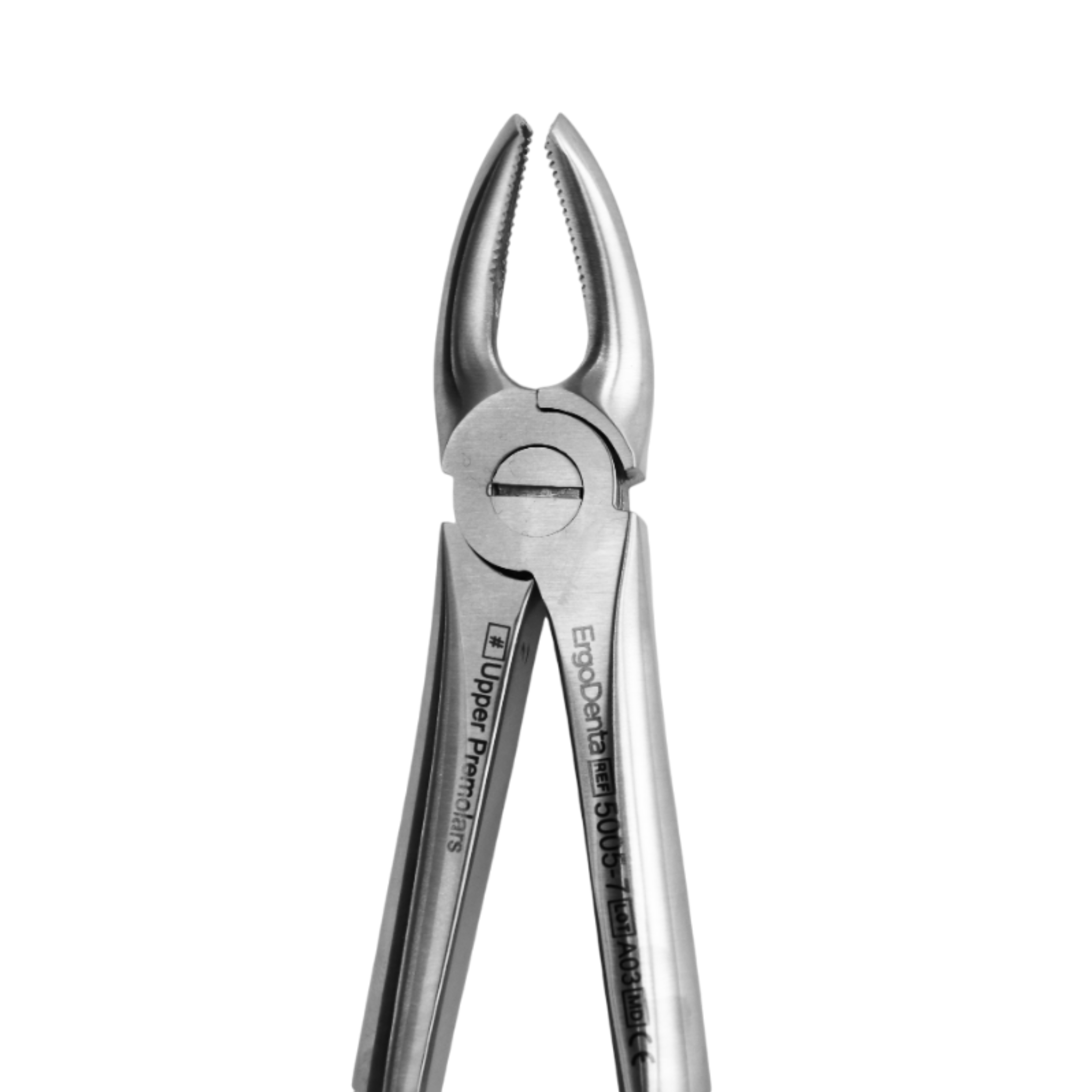 Fig. 7. Upper Premolars - 4
