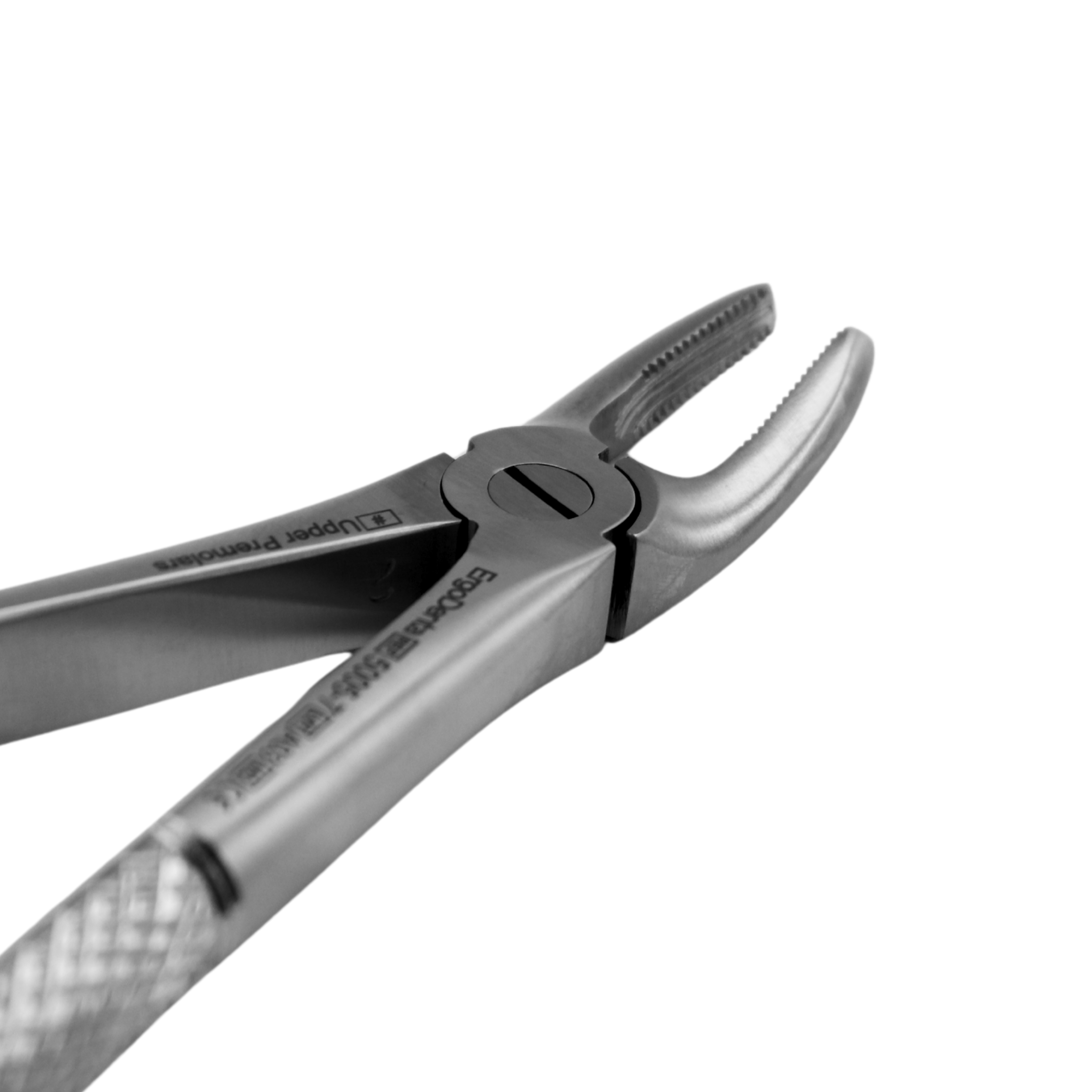 Fig. 7. Upper Premolars - 2
