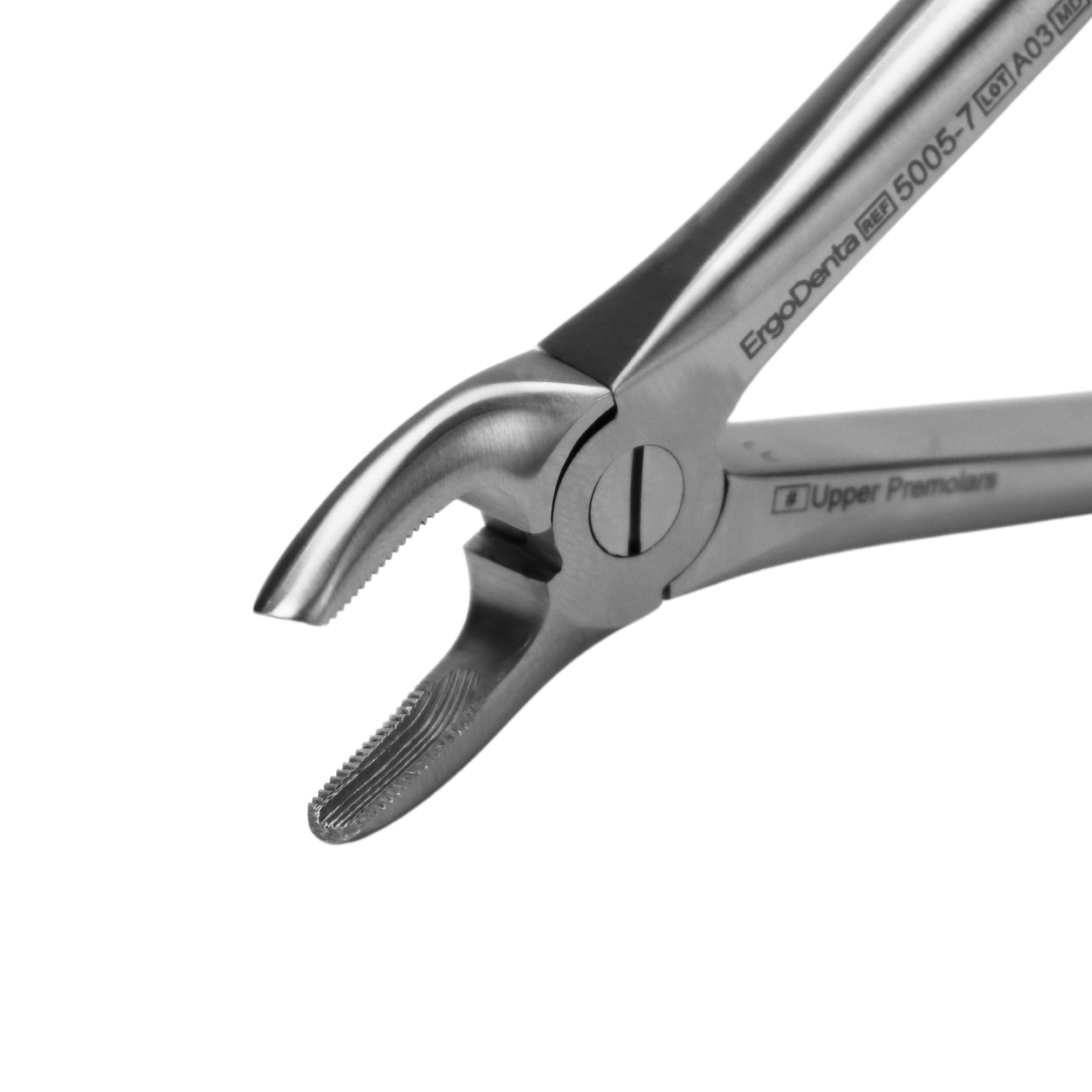 Fig. 7. Upper Premolars - 3