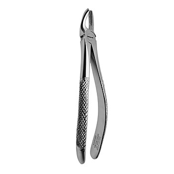 Fig. 17. Upper Molars, Right