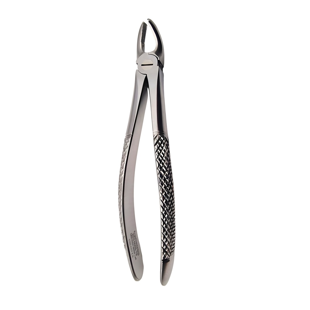 Fig. 18. Upper Molars, Left