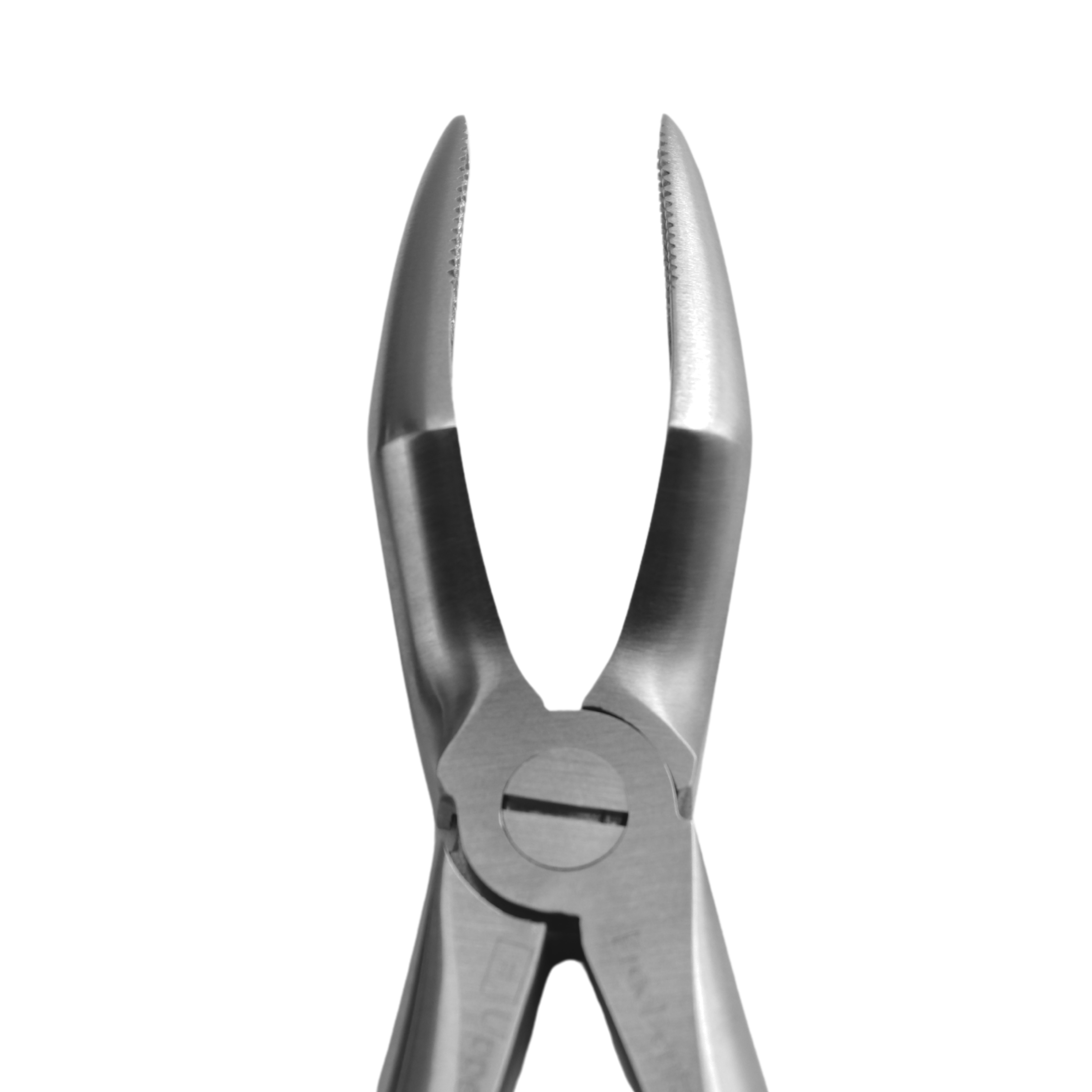 Fig. 51A. Upper Roots - 4