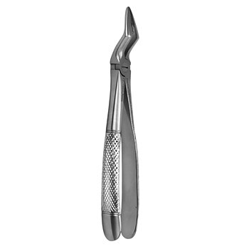 Fig. 51A. Upper Roots