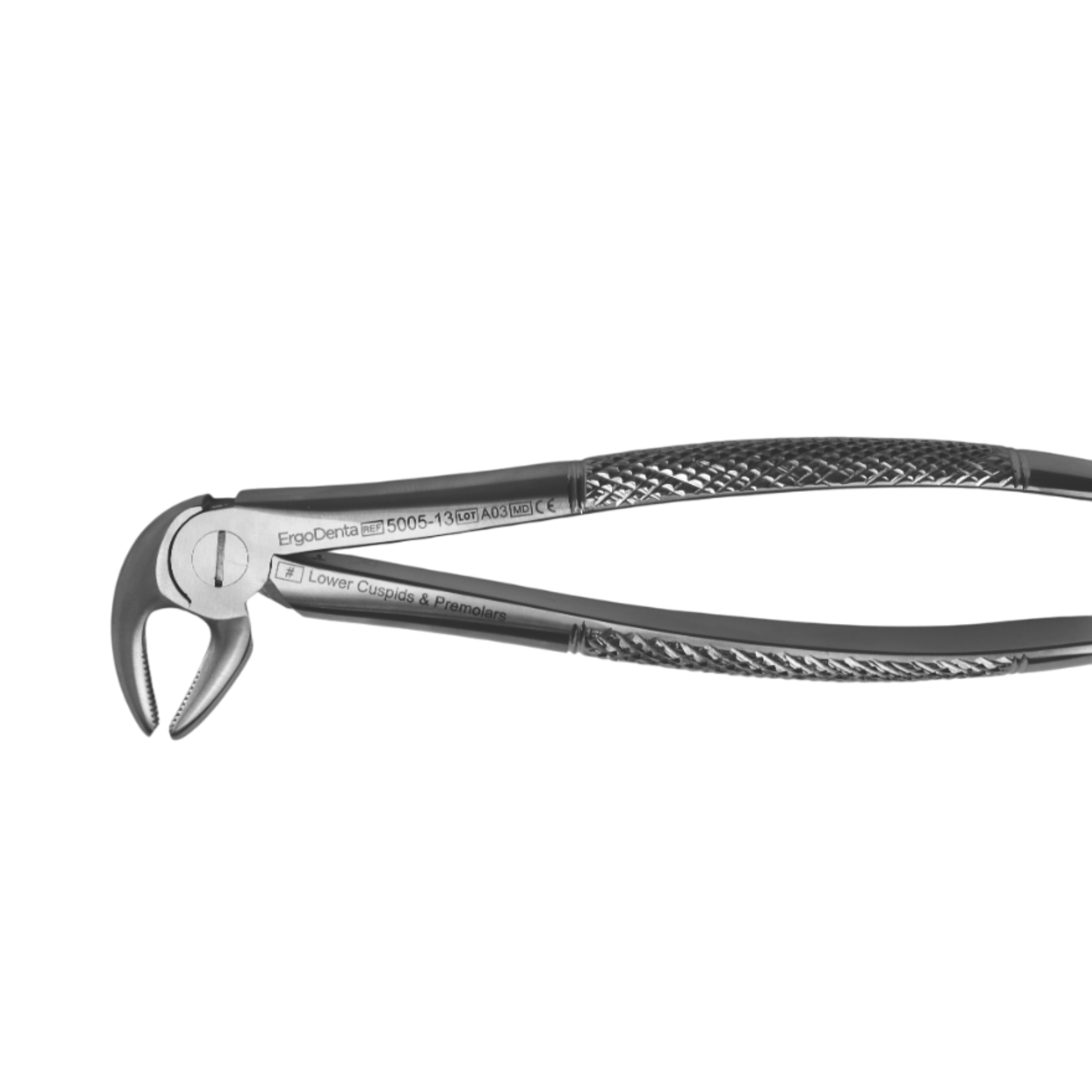Fig. 13. Lower Cuspids And Premolars - 2