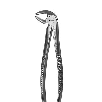 Fig. 13. Lower Cuspids And Premolars
