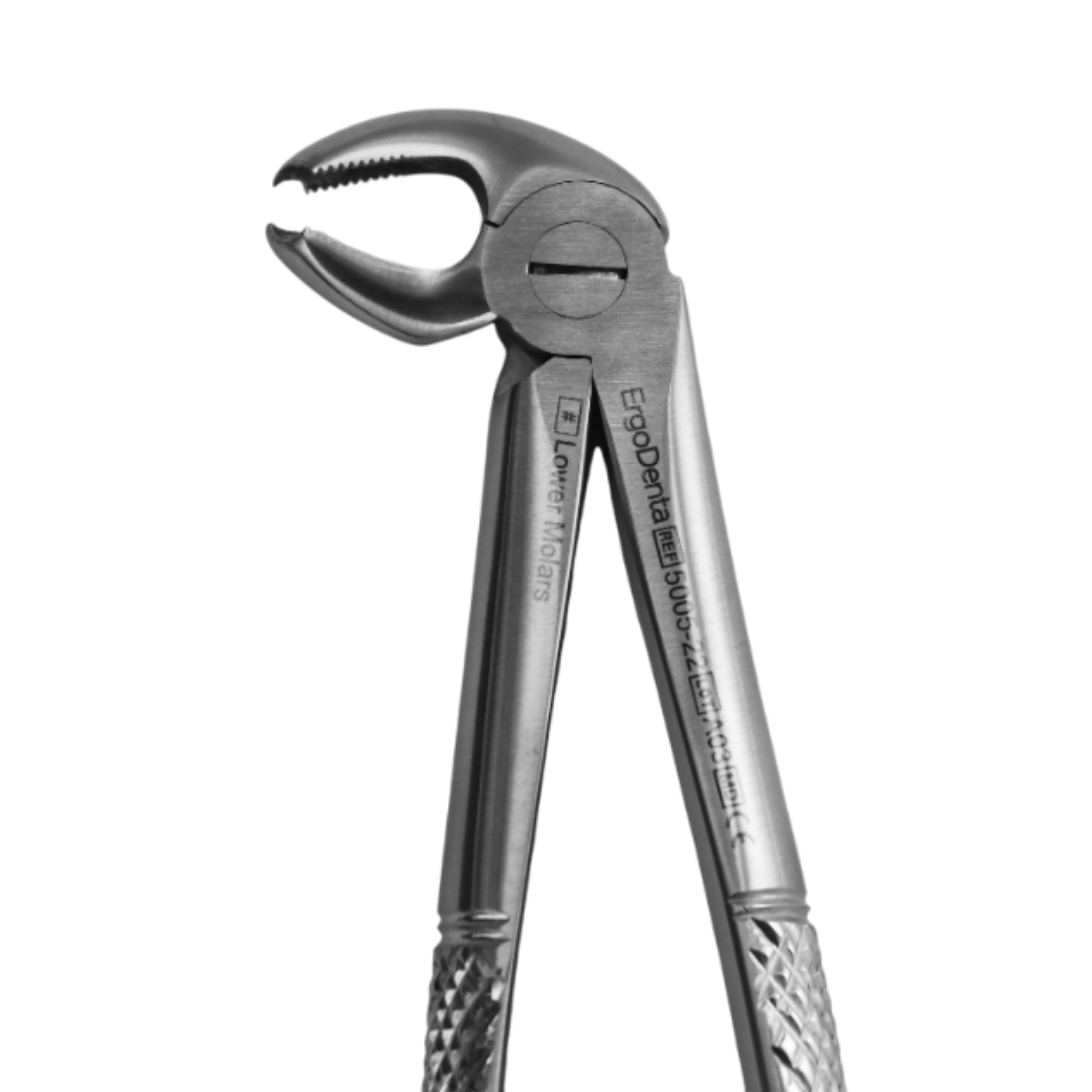 Fig. 22. Lower Molars - 3