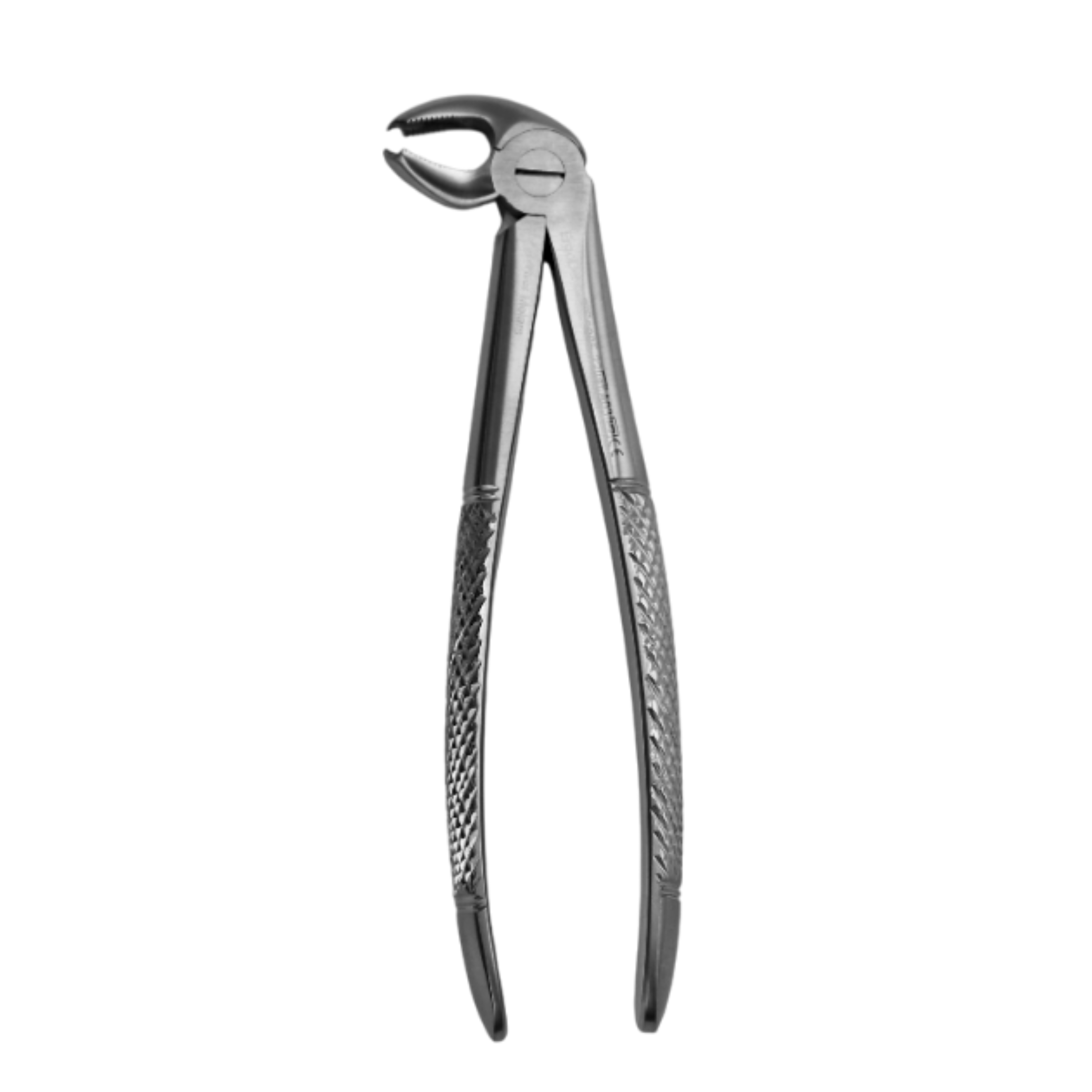 Fig. 22. Lower Molars