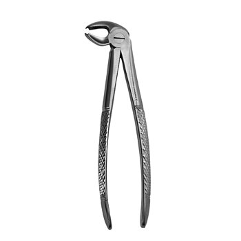 Fig. 22. Lower Molars