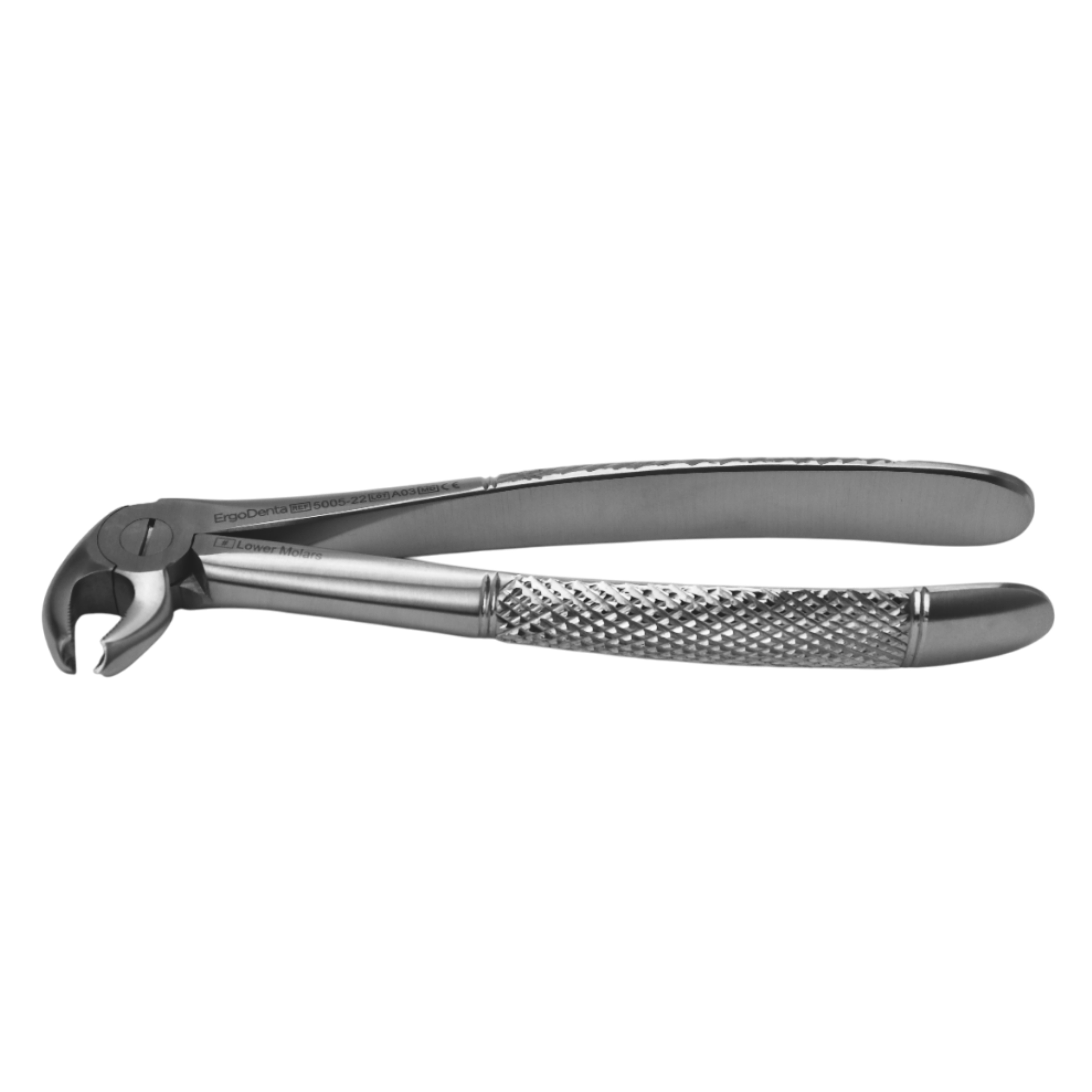 Fig. 22. Lower Molars - 2