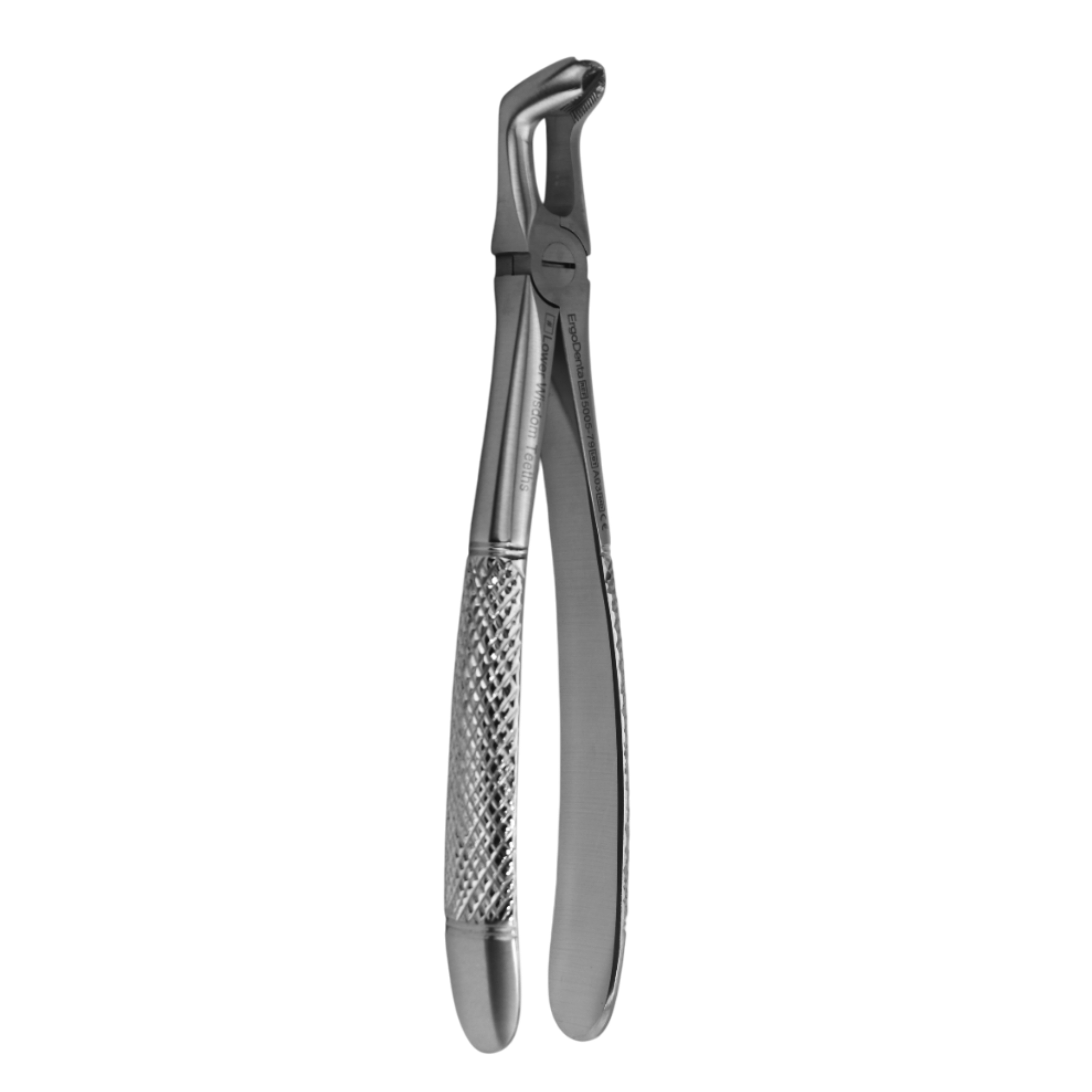 Fig. 79. Lower Wisdom Teeths