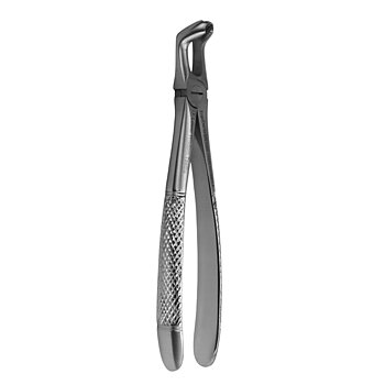 Fig. 79. Lower Wisdom Teeths