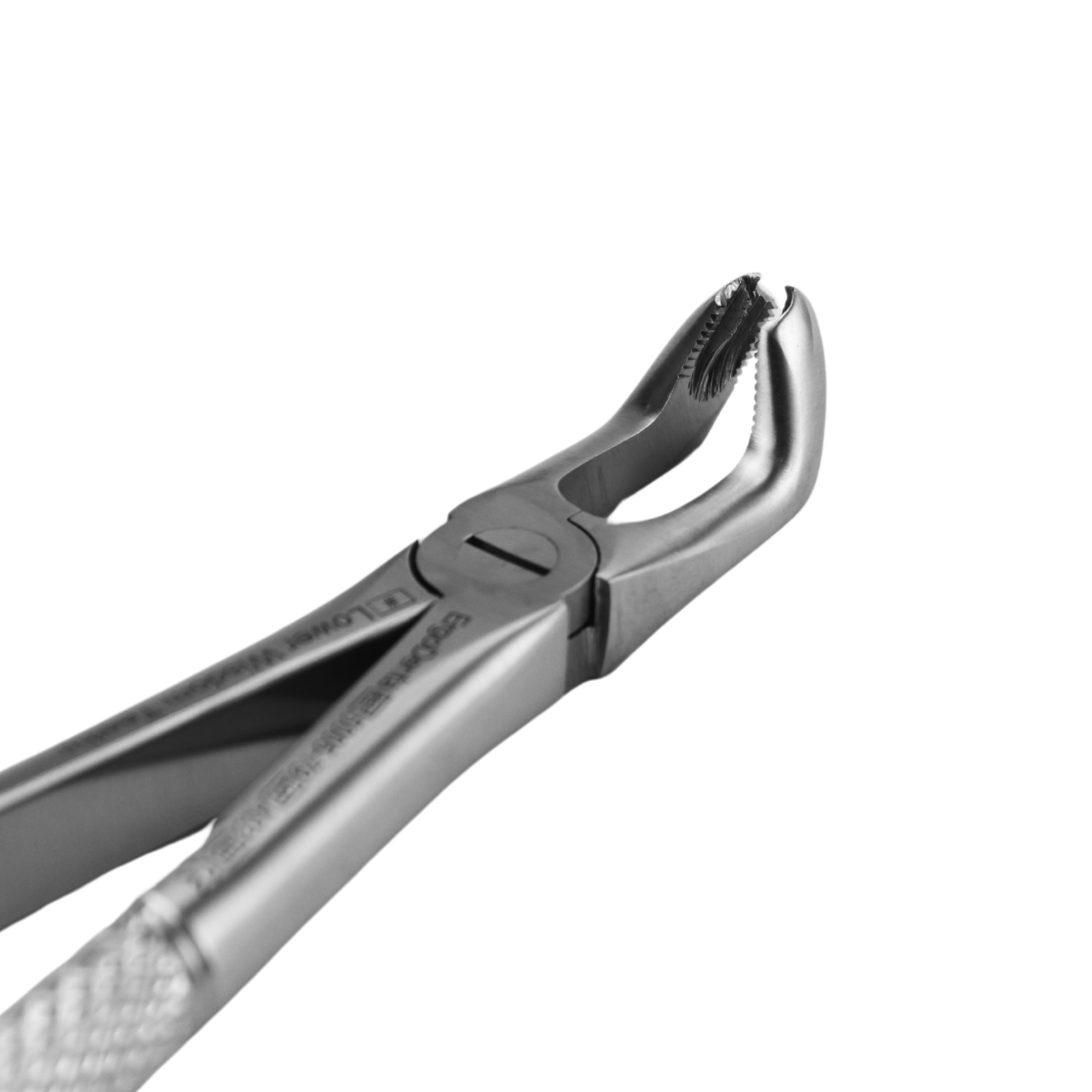 Fig. 79. Lower Wisdom Teeths - 3