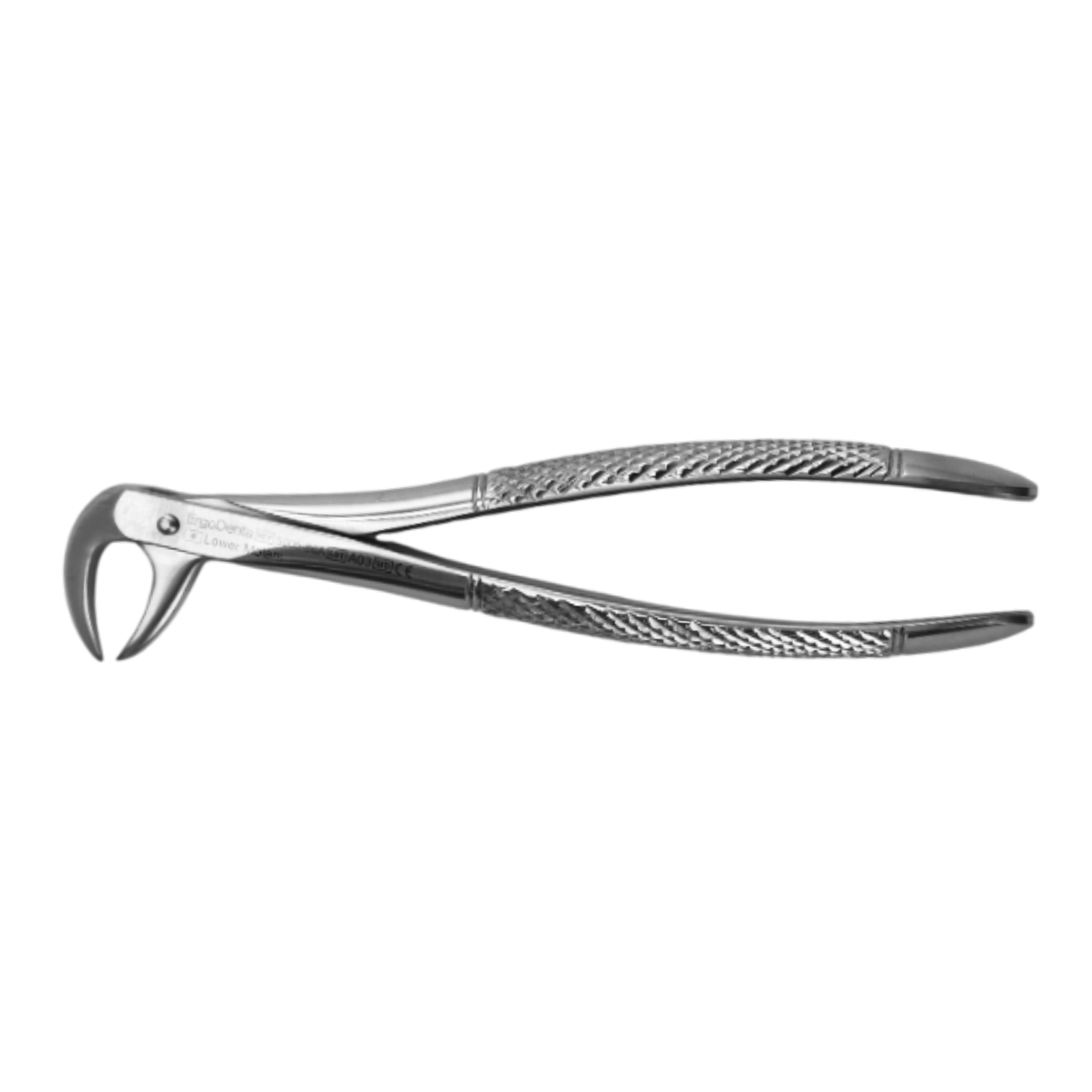 Fig. 86A. Lower Molars - 2