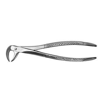 Fig. 86A. Lower Molars