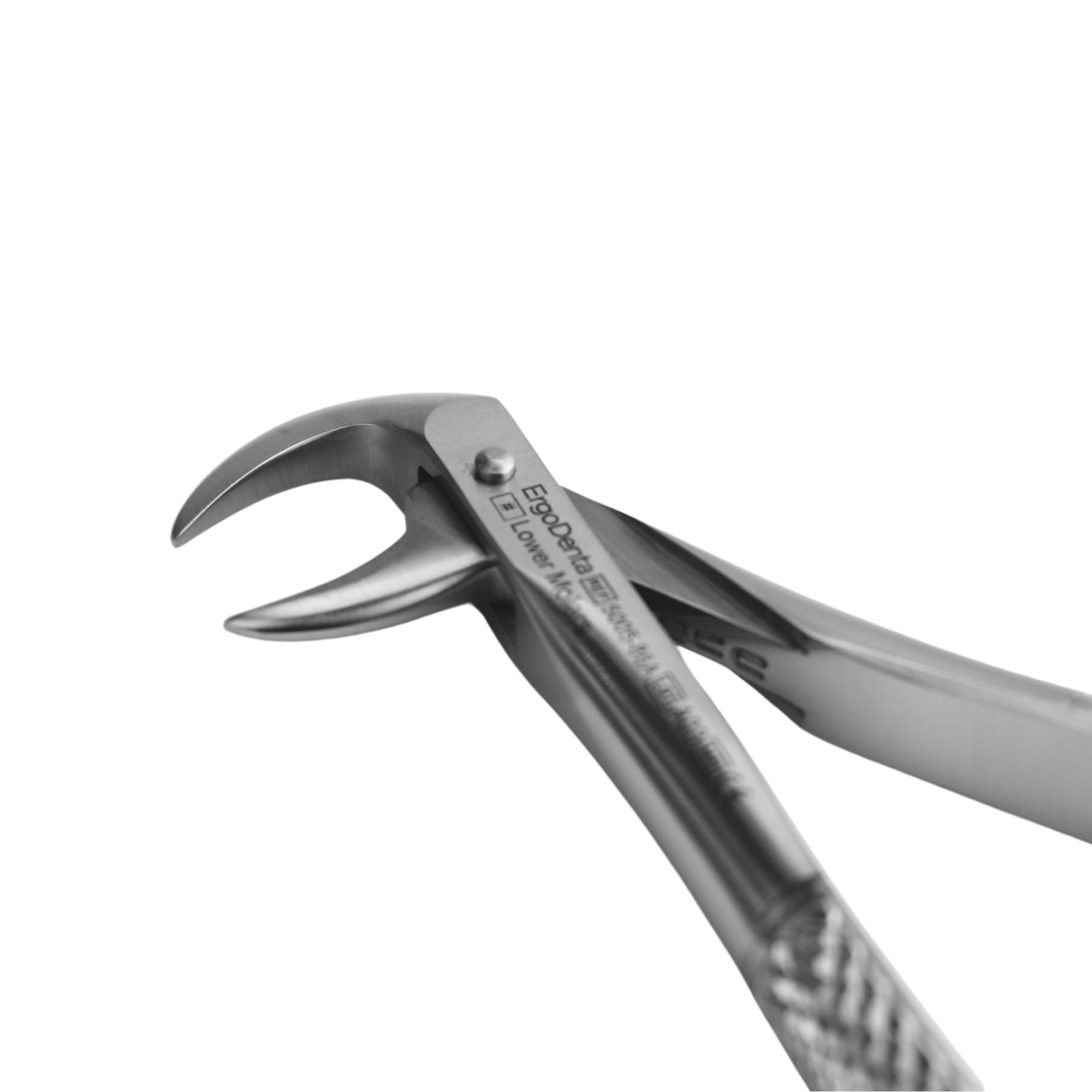 Fig. 86A. Lower Molars - 3