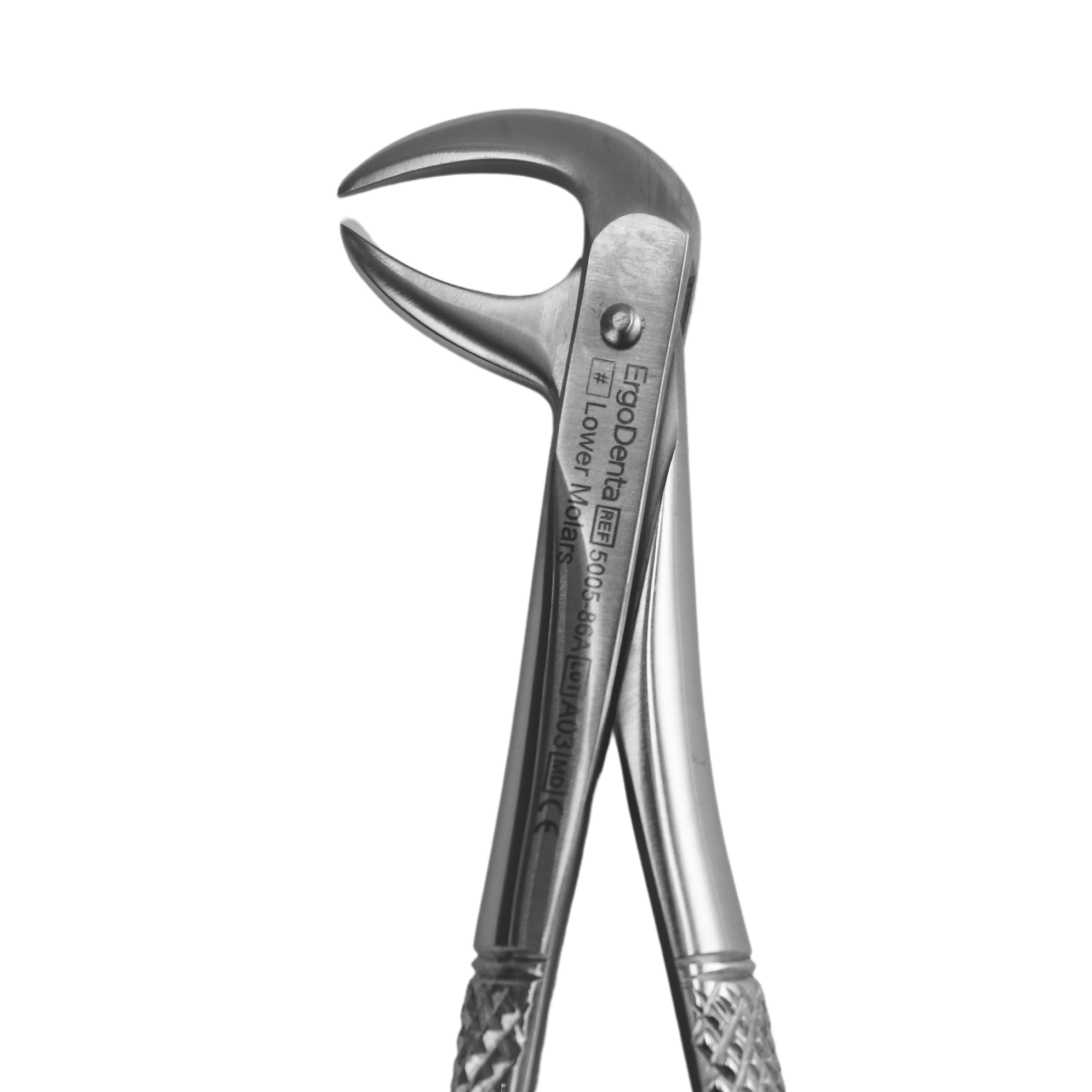 Fig. 86A. Lower Molars - 4