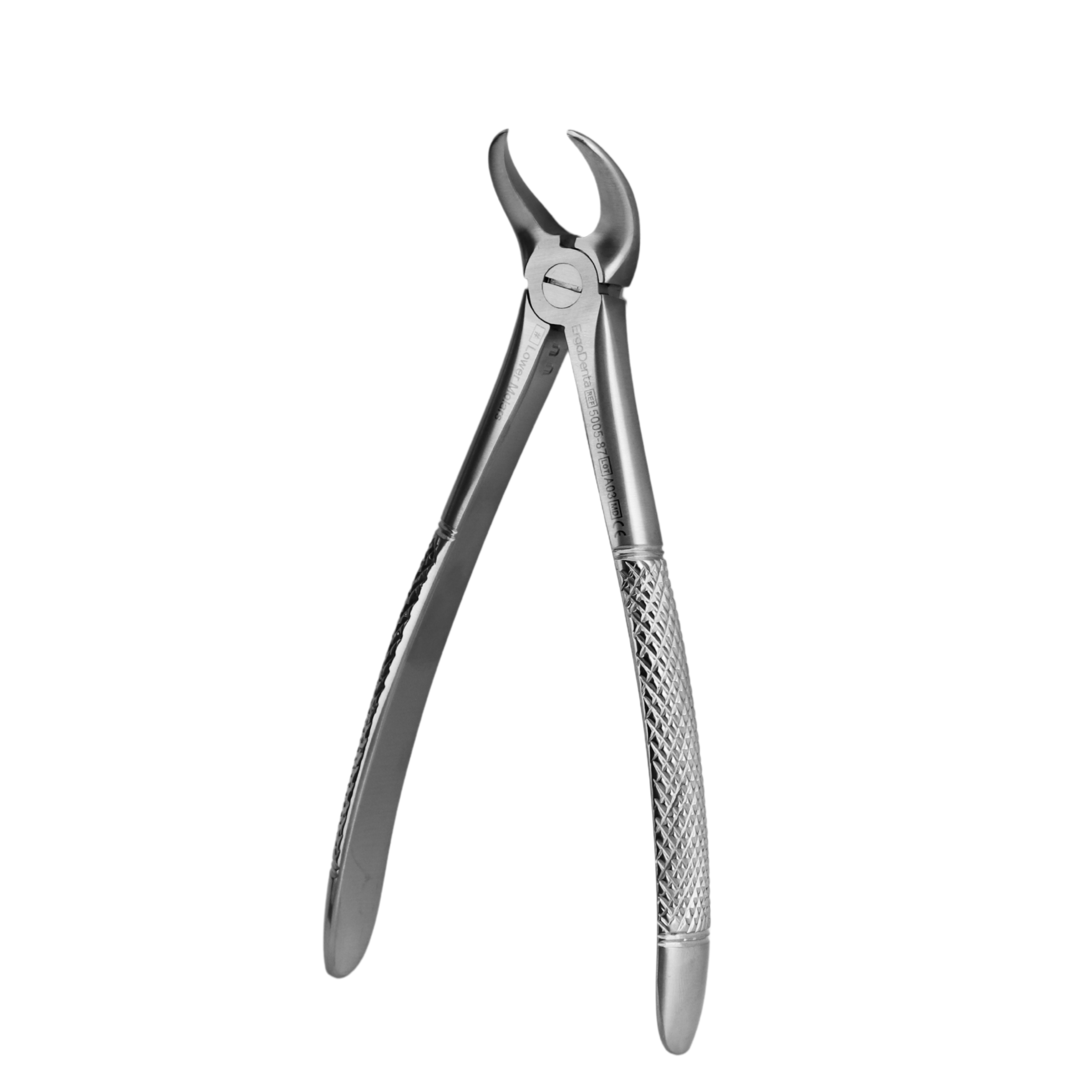 Fig. 87. Lower Molars - 2