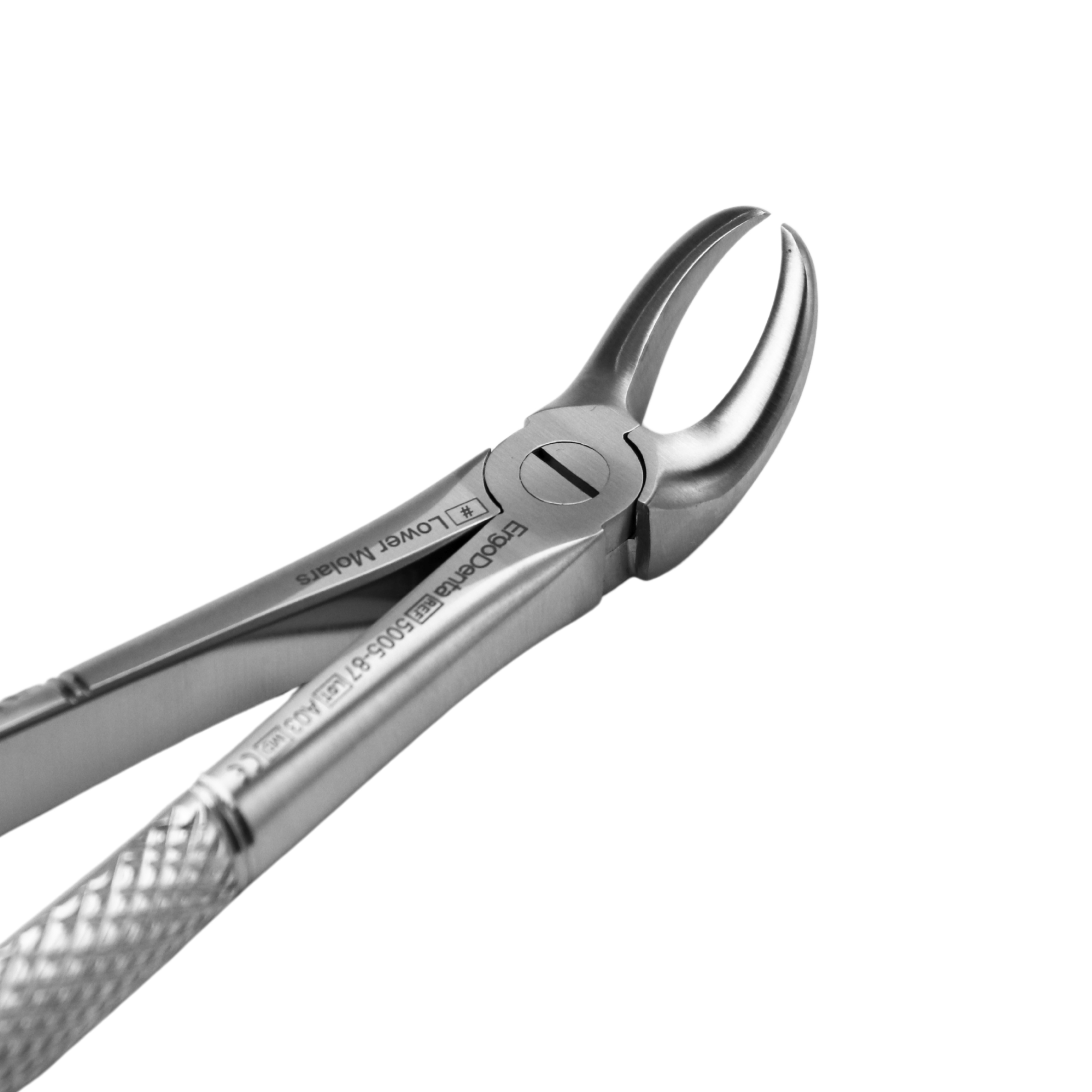 Fig. 87. Lower Molars - 3