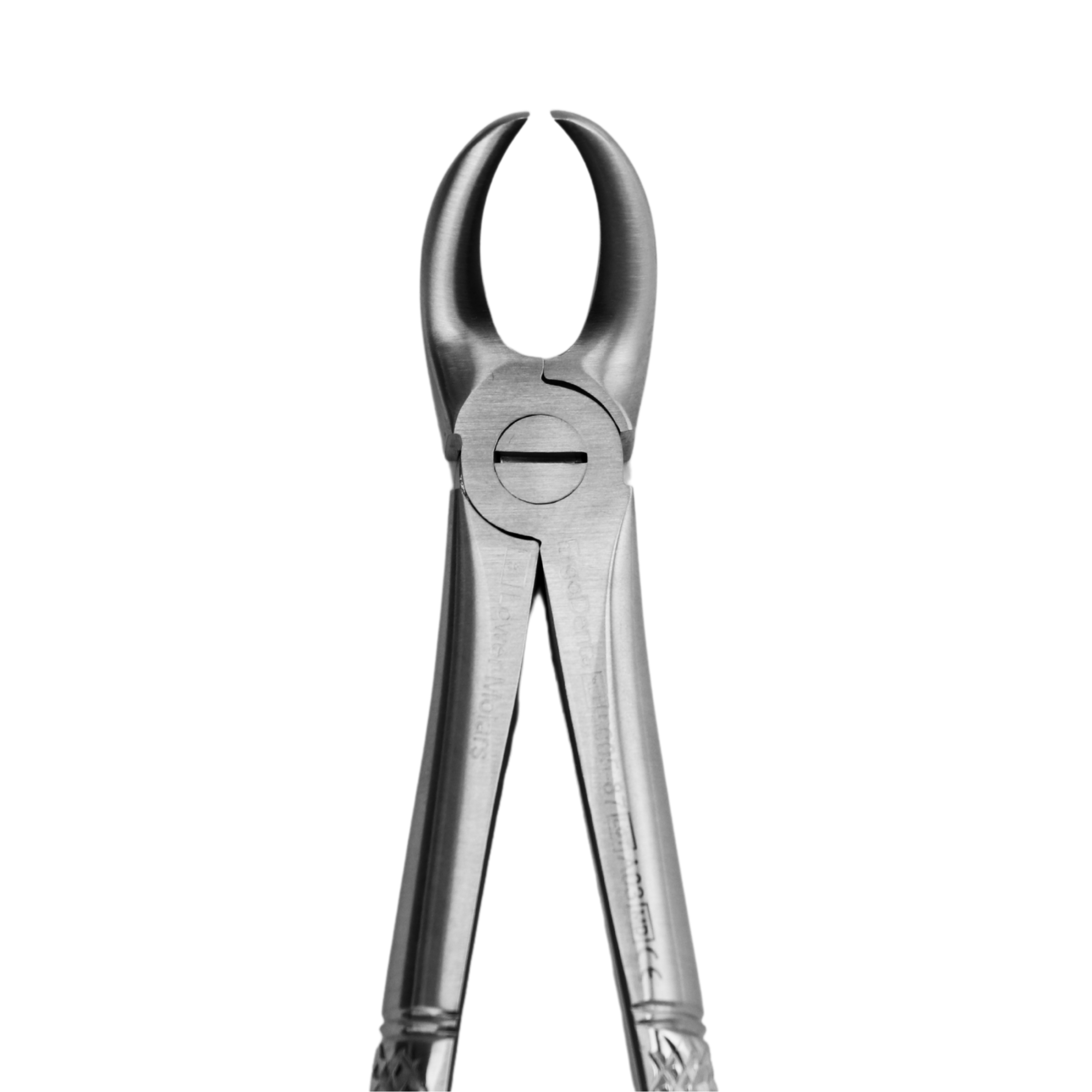 Fig. 87. Lower Molars - 4