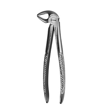 Fig. 33A. Lower Incisors, Premolars And Roots