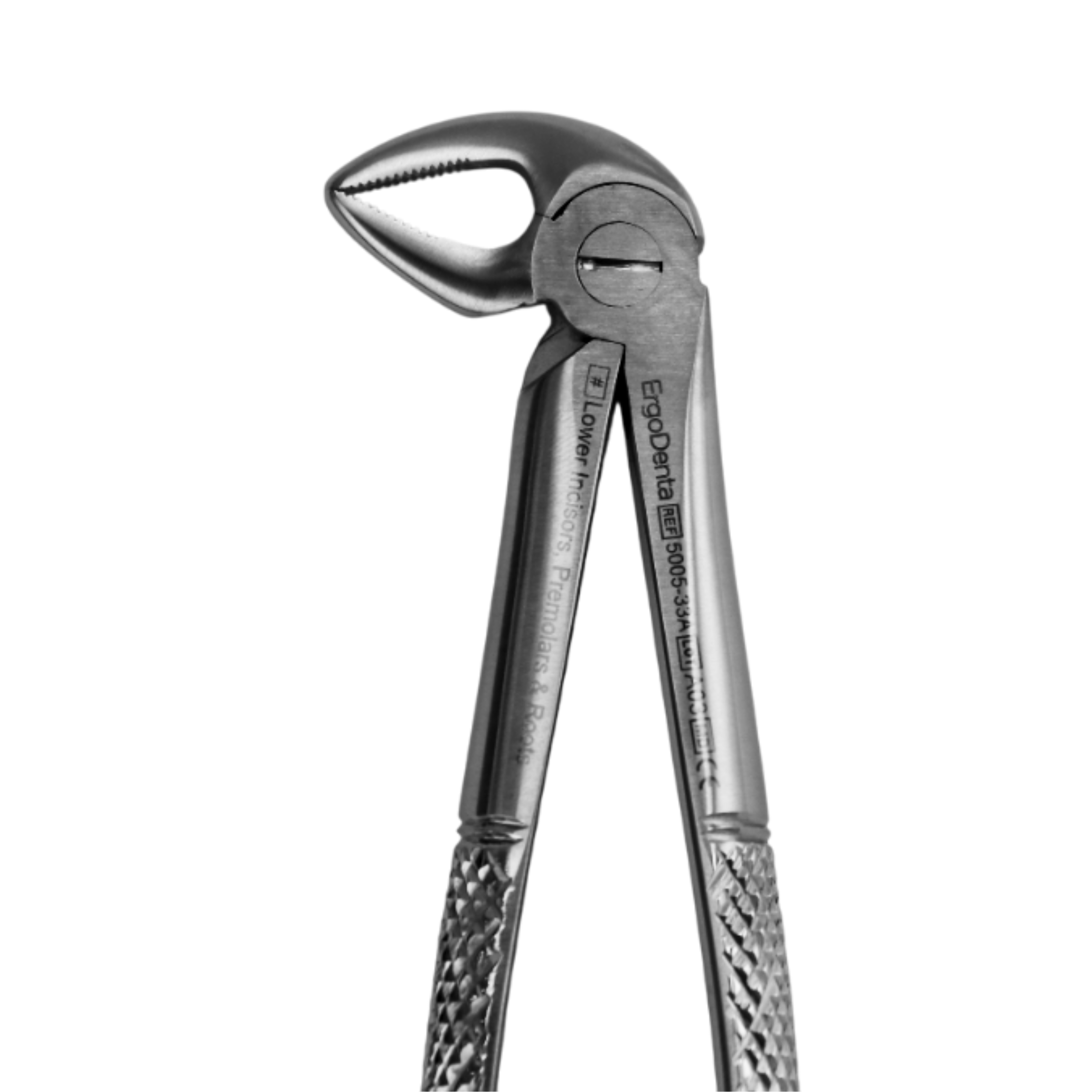 Fig. 33A. Lower Incisors, Premolars And Roots - 3