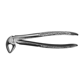 Fig. 33A. Lower Incisors, Premolars And Roots