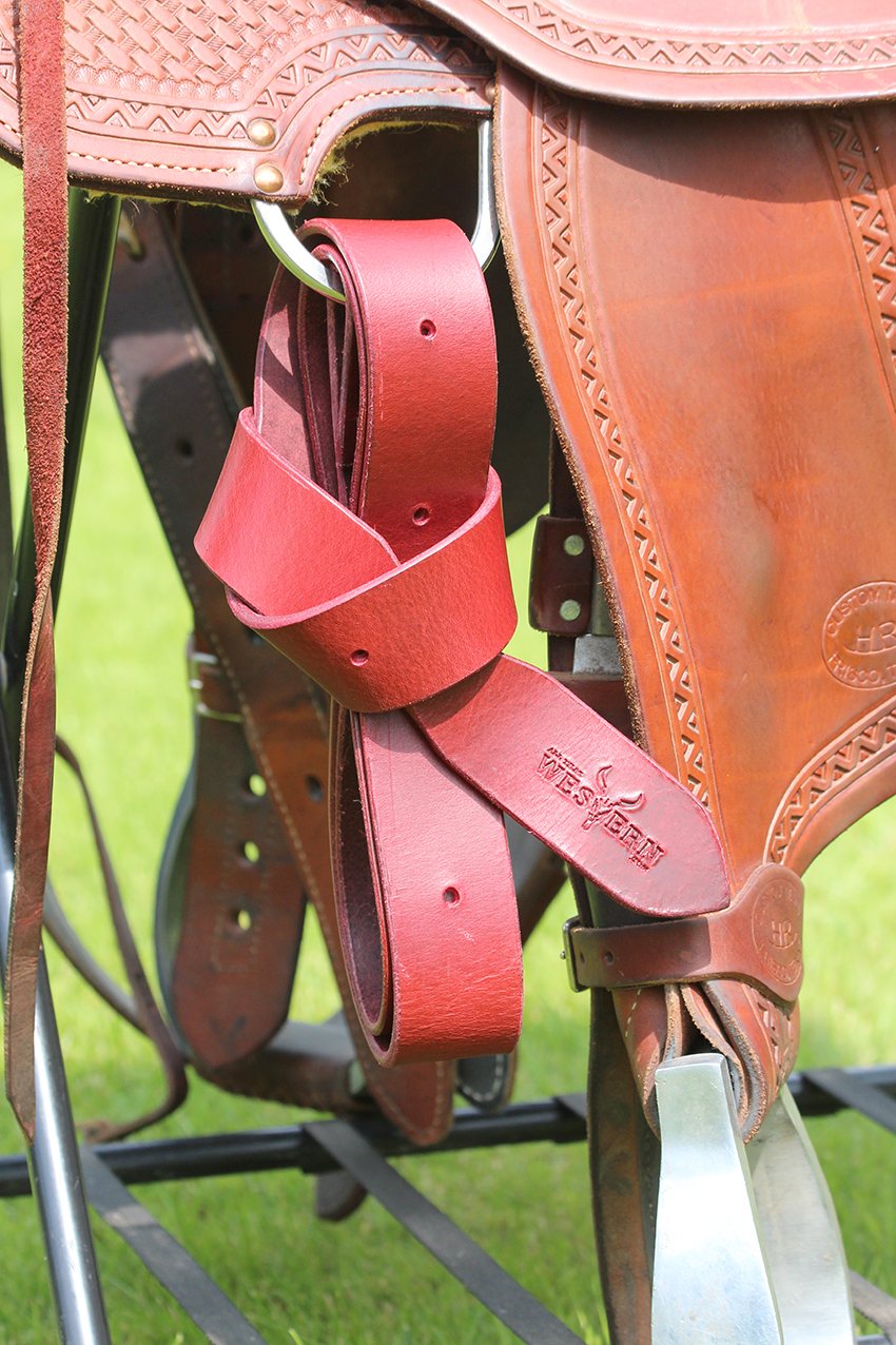 All That Latigo no. 2 - 185cm  - 3
