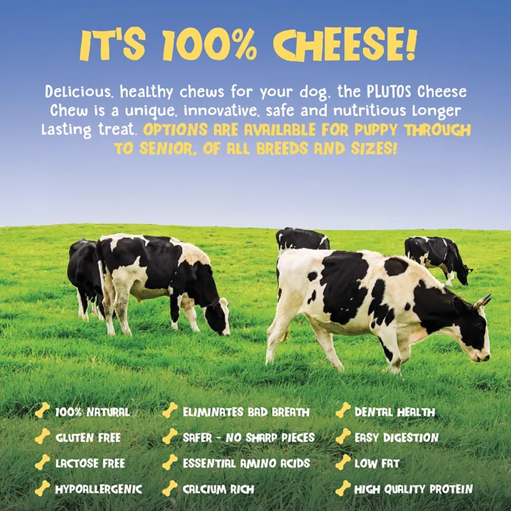 Dog bones made of cheese milk Pluto healthy chews dog cheese chew