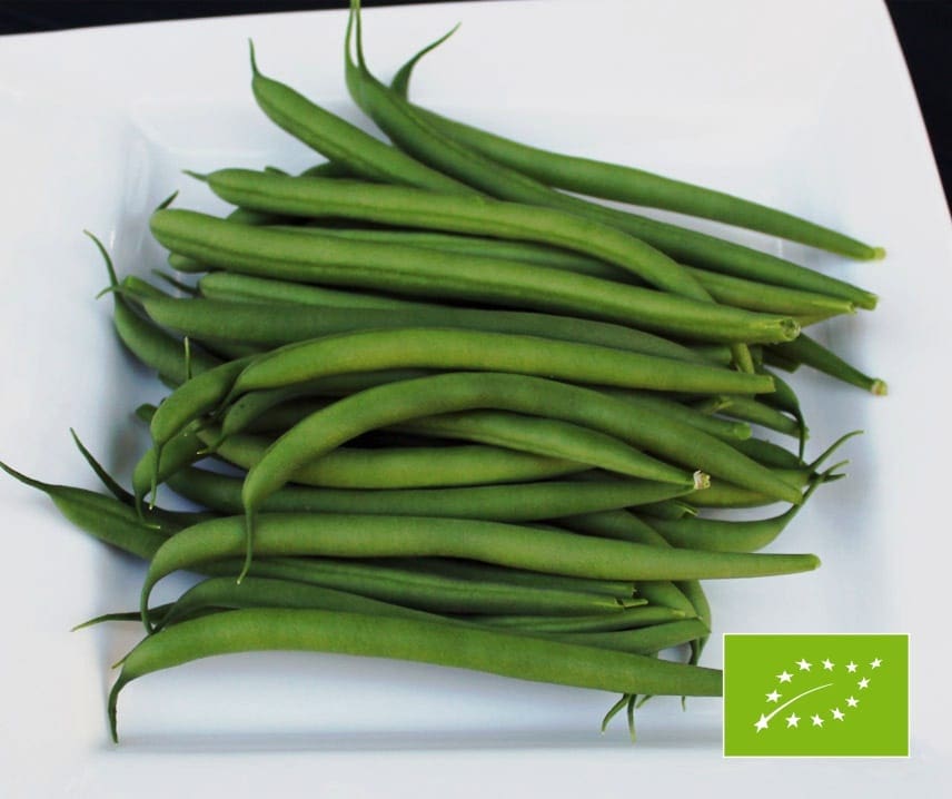Böna Haricot Verts  Domino  15 bönor (ekologiska)