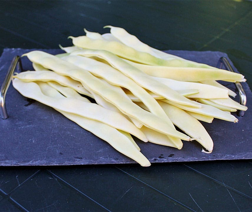 Haricot Verts  Golden Gate  5 bönor (ekologiska), - 2