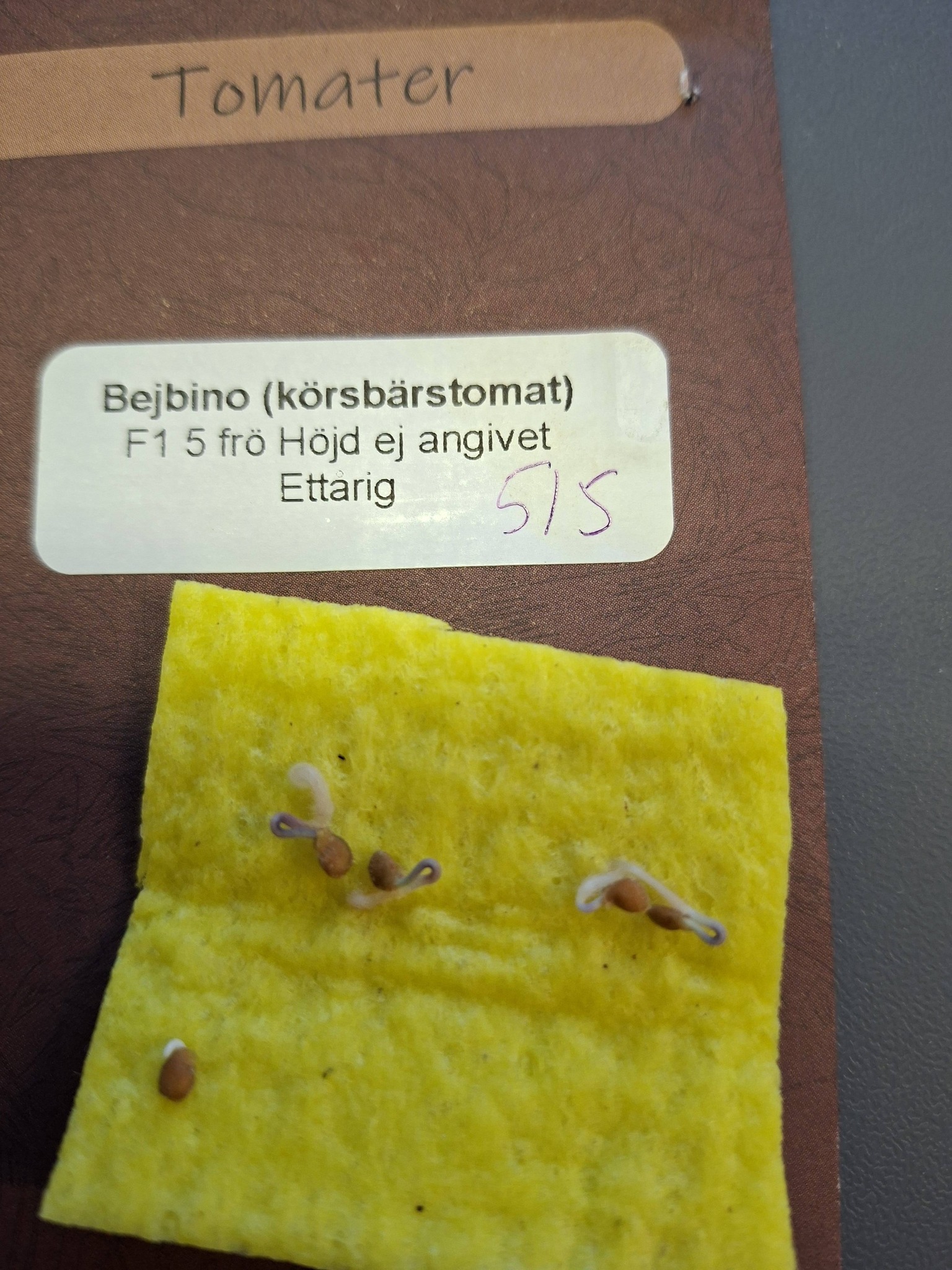 Tomat (körsbärs) Bejbino F1 5  frö - 2