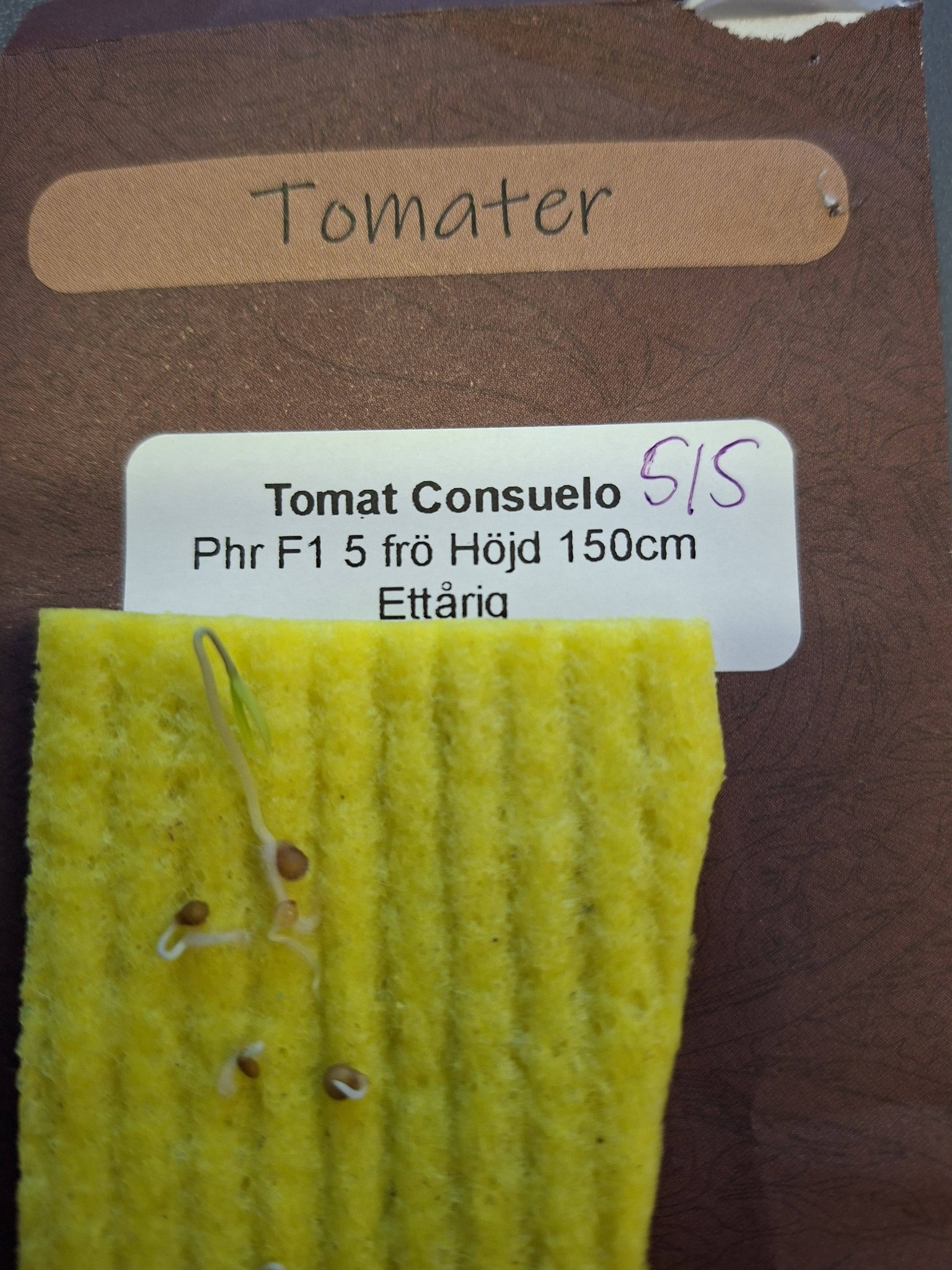 Tomat Consuelo Phr F1 5  frö   - 2