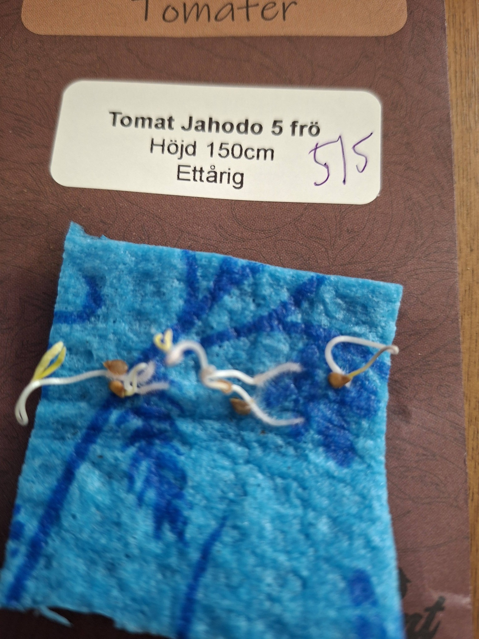 Tomat Jahodo 5  frö - 2