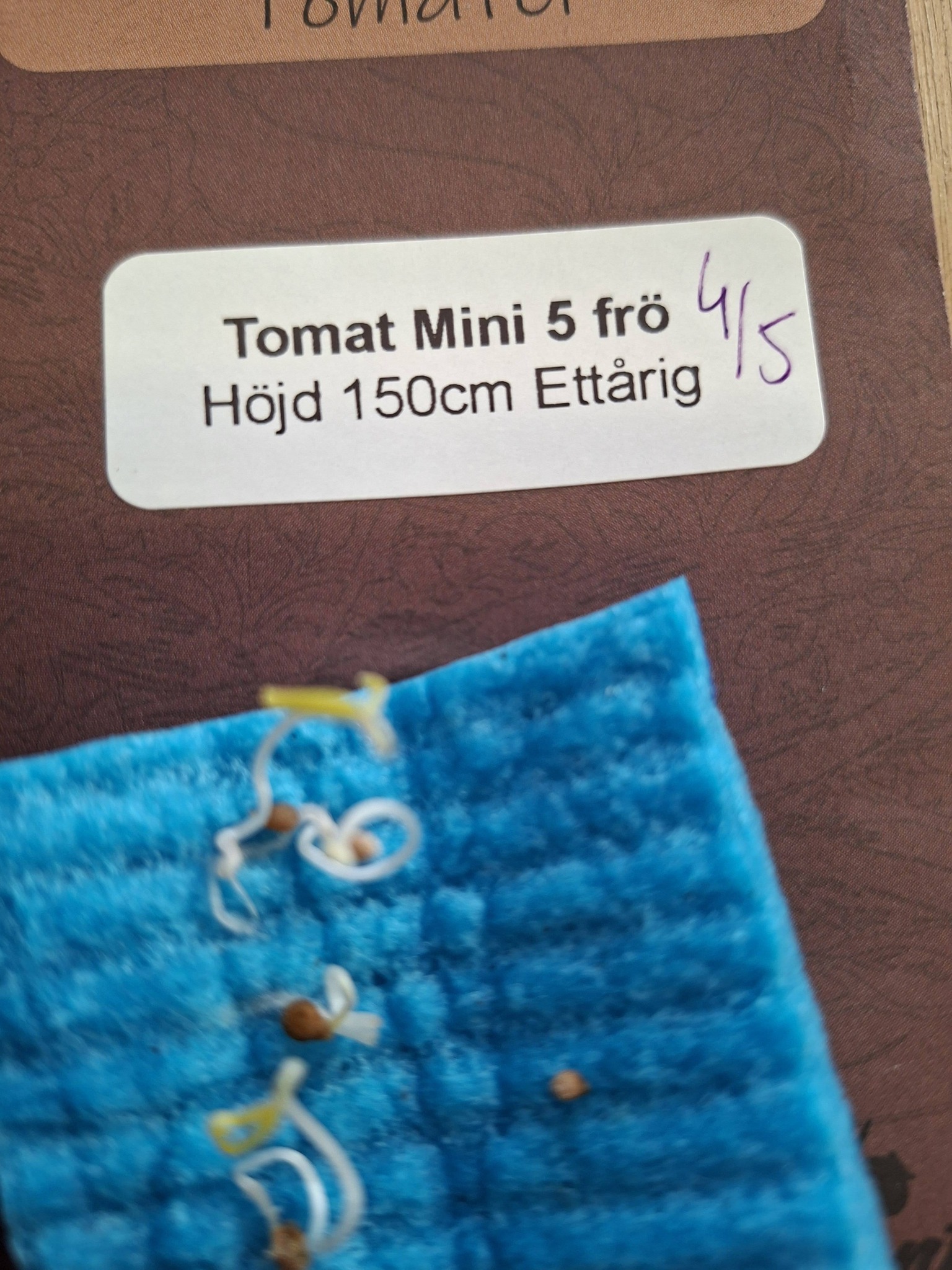 Tomat Mini  5  frö - 2