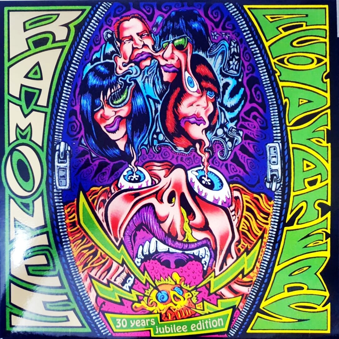 Ramones – Acid Eaters - LP (30 years jubilee edition)