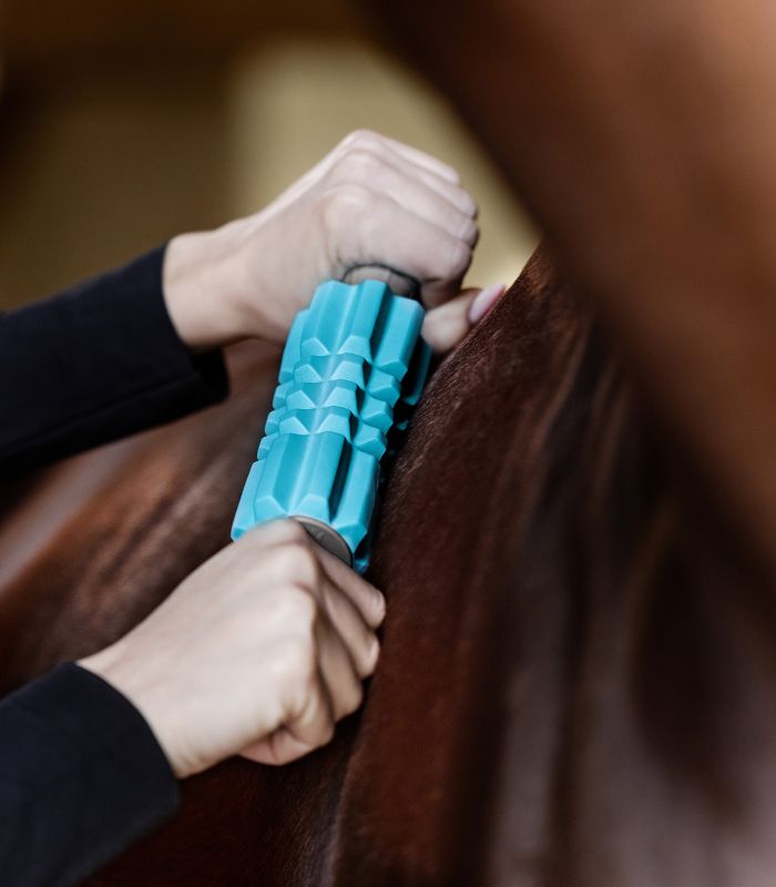 Waldhausen Health + Care Fascia Fit Massage Roller - Relaxing