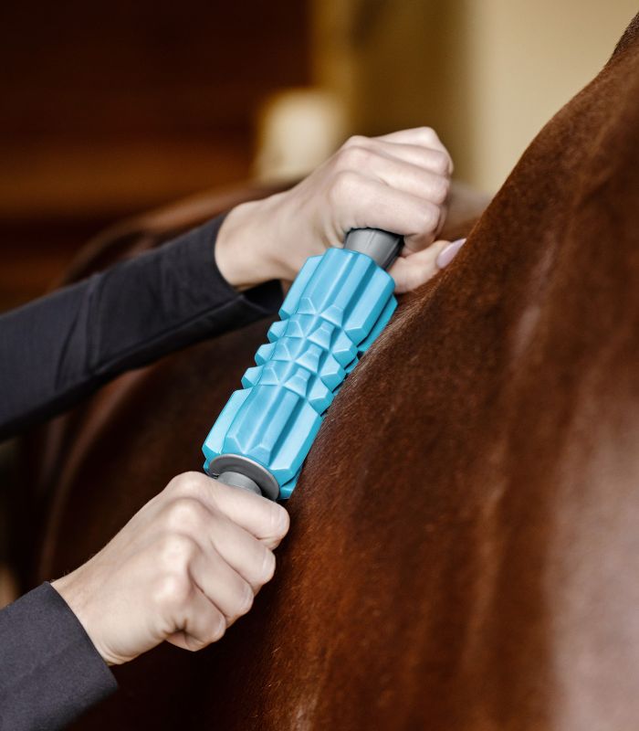 Waldhausen Health + Care Fascia Fit Massage Roller - Easy to use