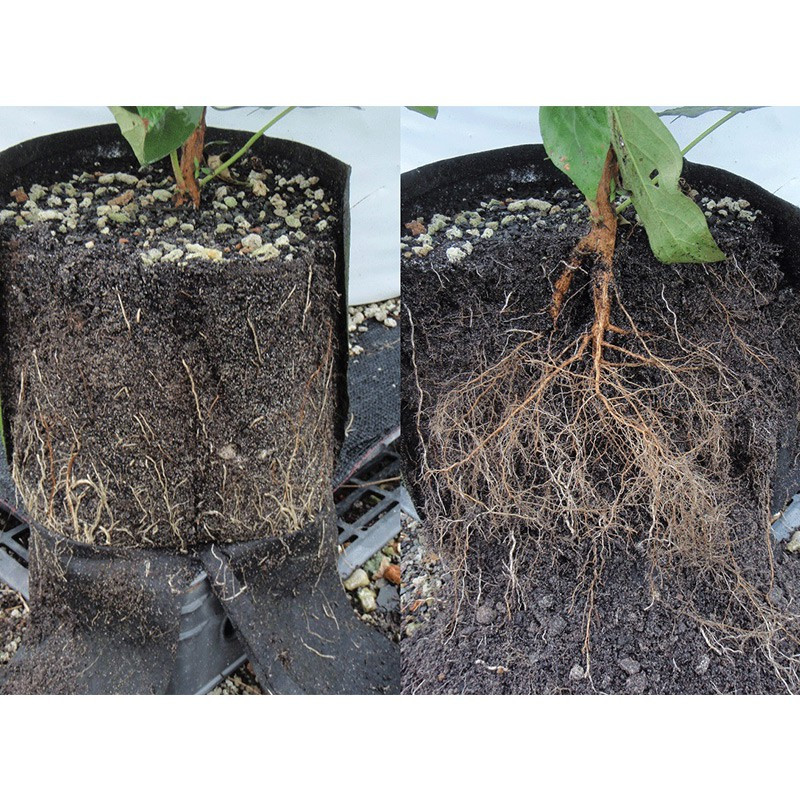 Root Pouch 8 L Grå - 2