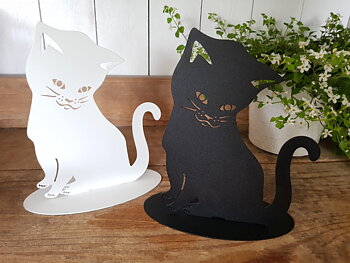 Katten Tussie på fot