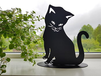 Katten Tussie på fot