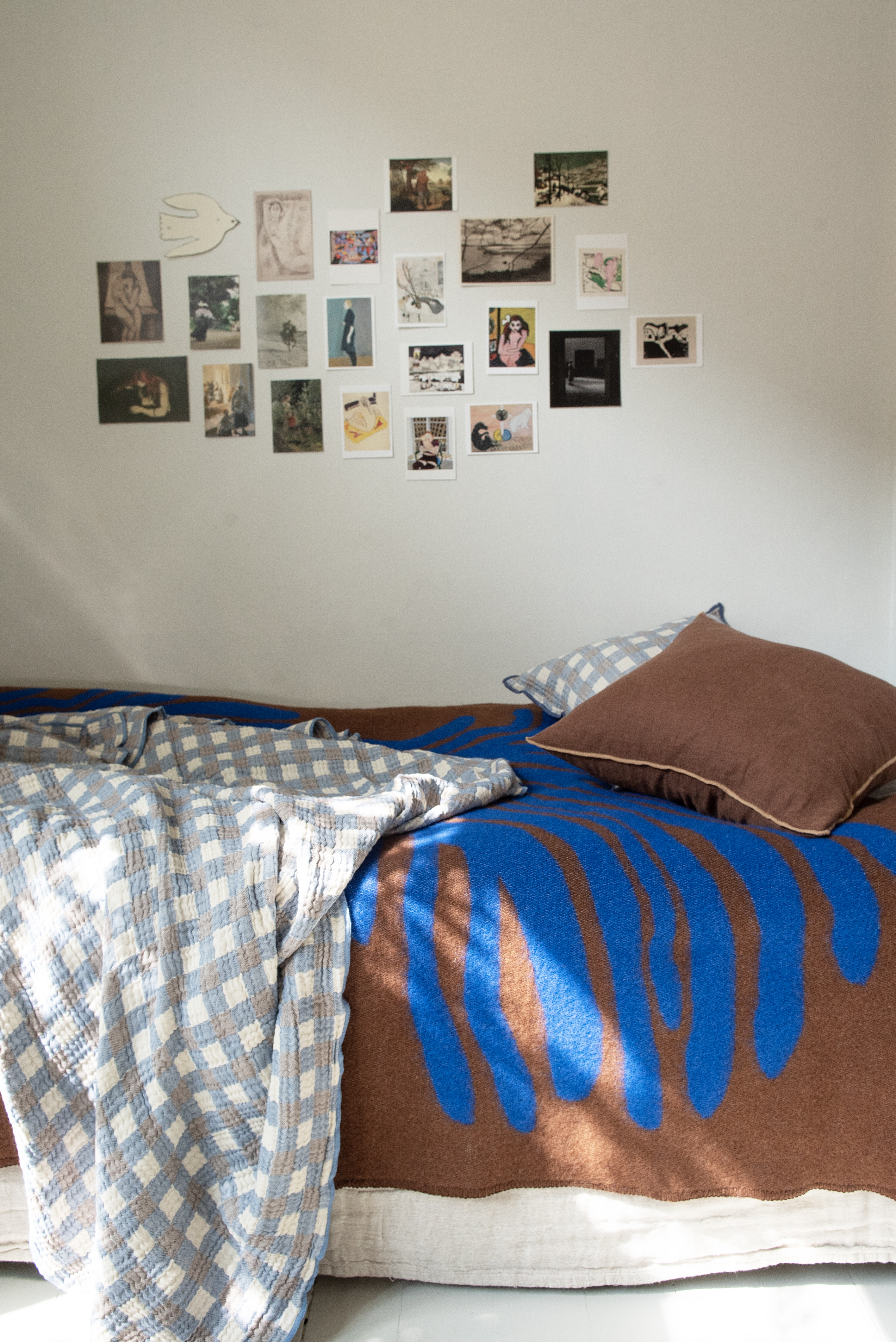 PINE Brown/Blue  - 3