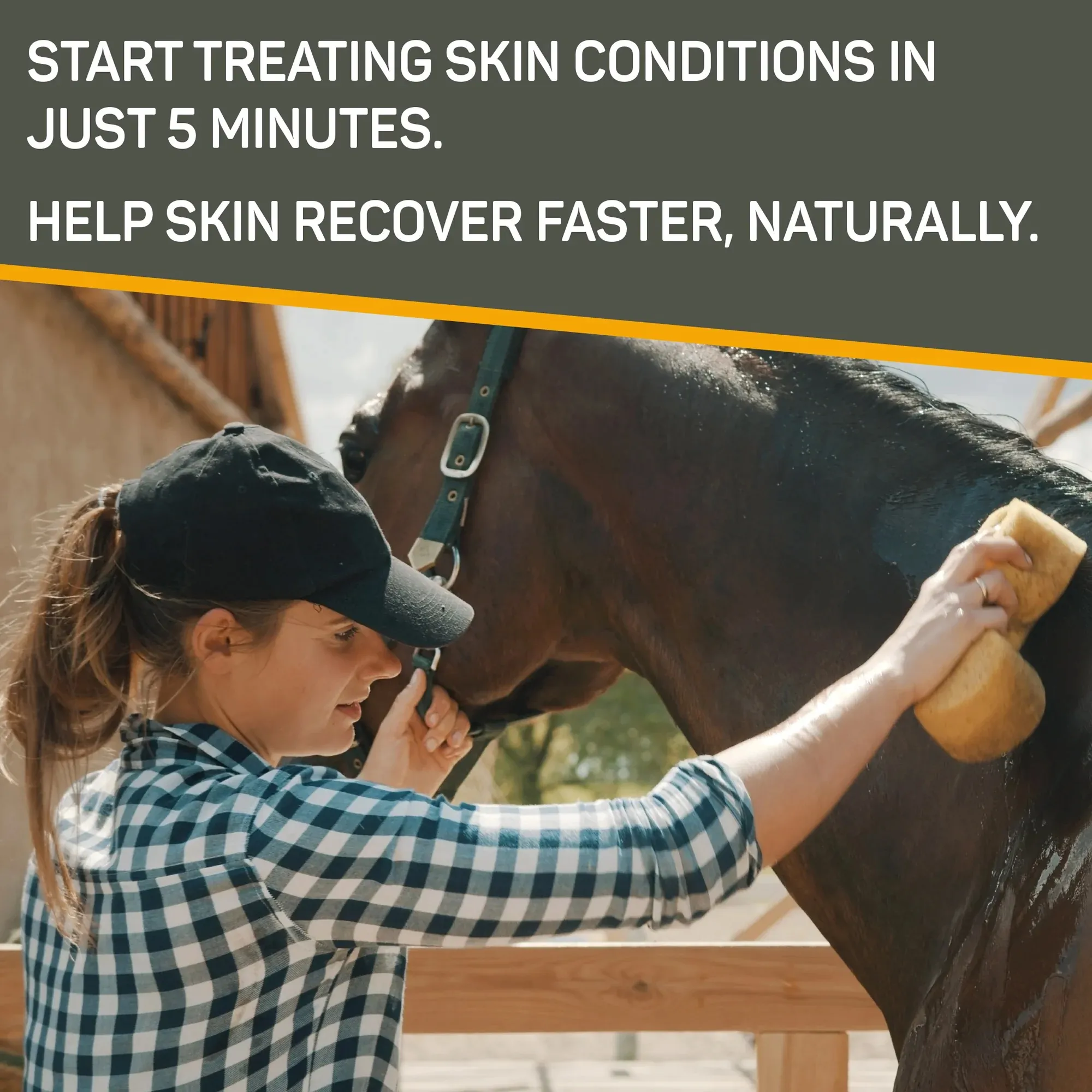 Absorbine Silver Honey Rapid Skin Relief Medicated Shampoo - 5
