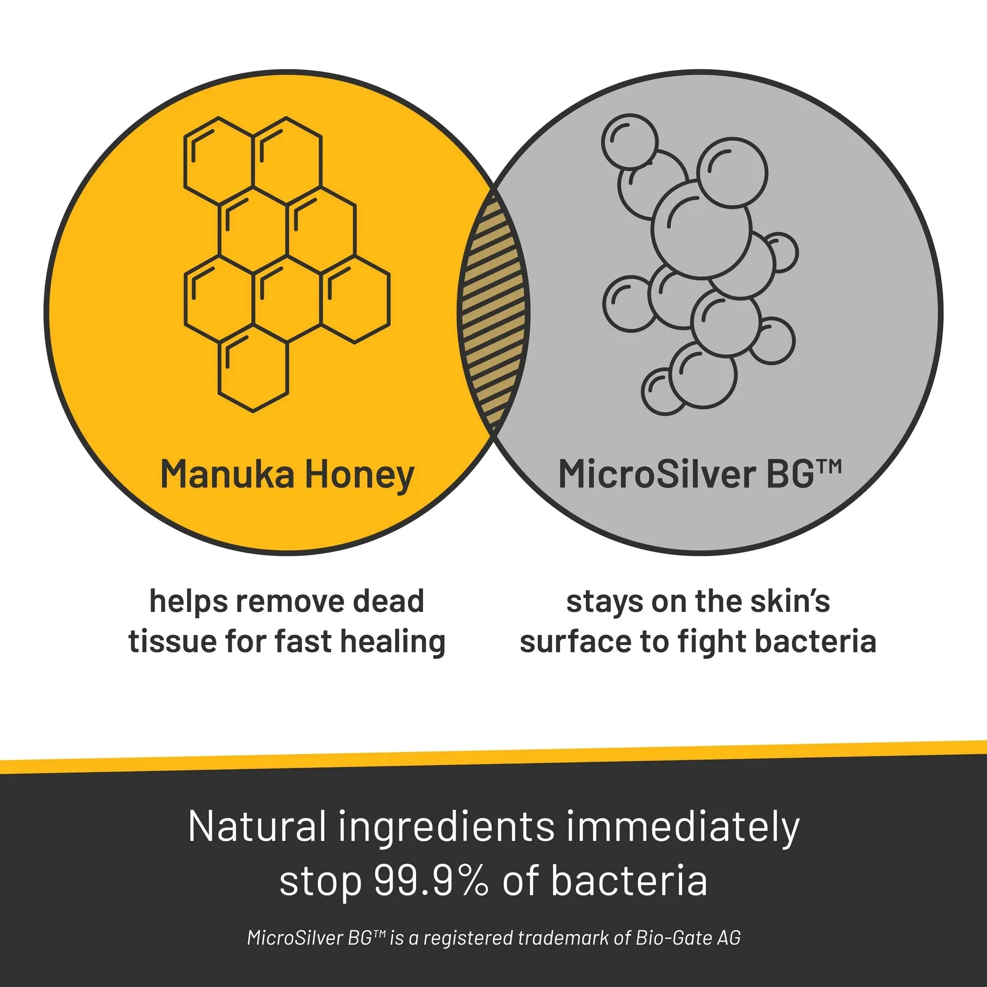 Absorbine Silver Honey Rapid Skin Relief Medicated Shampoo - 3