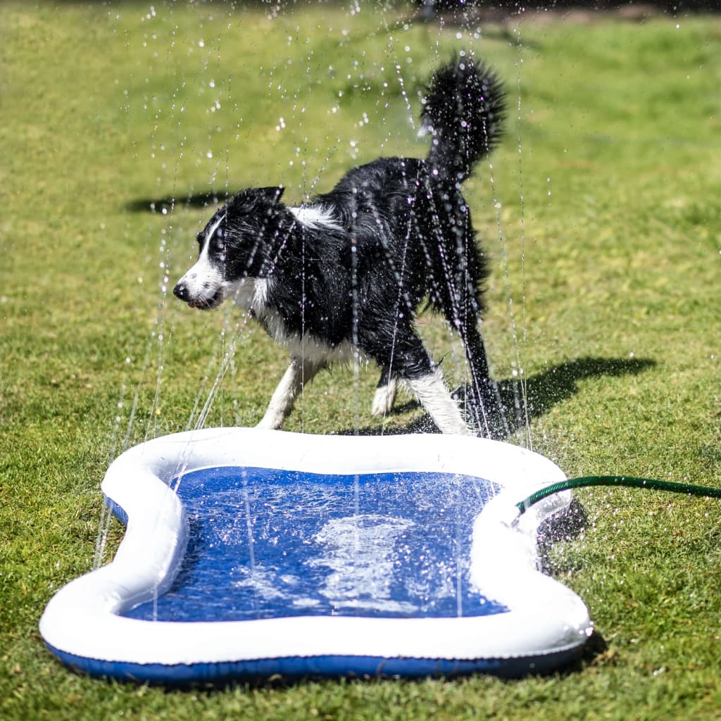 Dog sprinkle mat - the original - 7