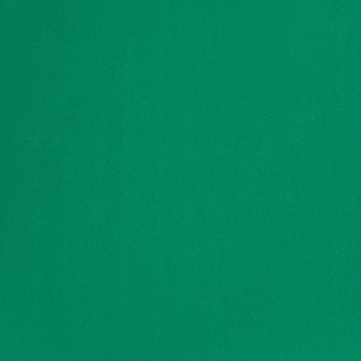 LYCRA - GREEN - 2