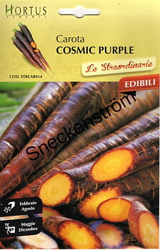 Morot Cosmic Purple